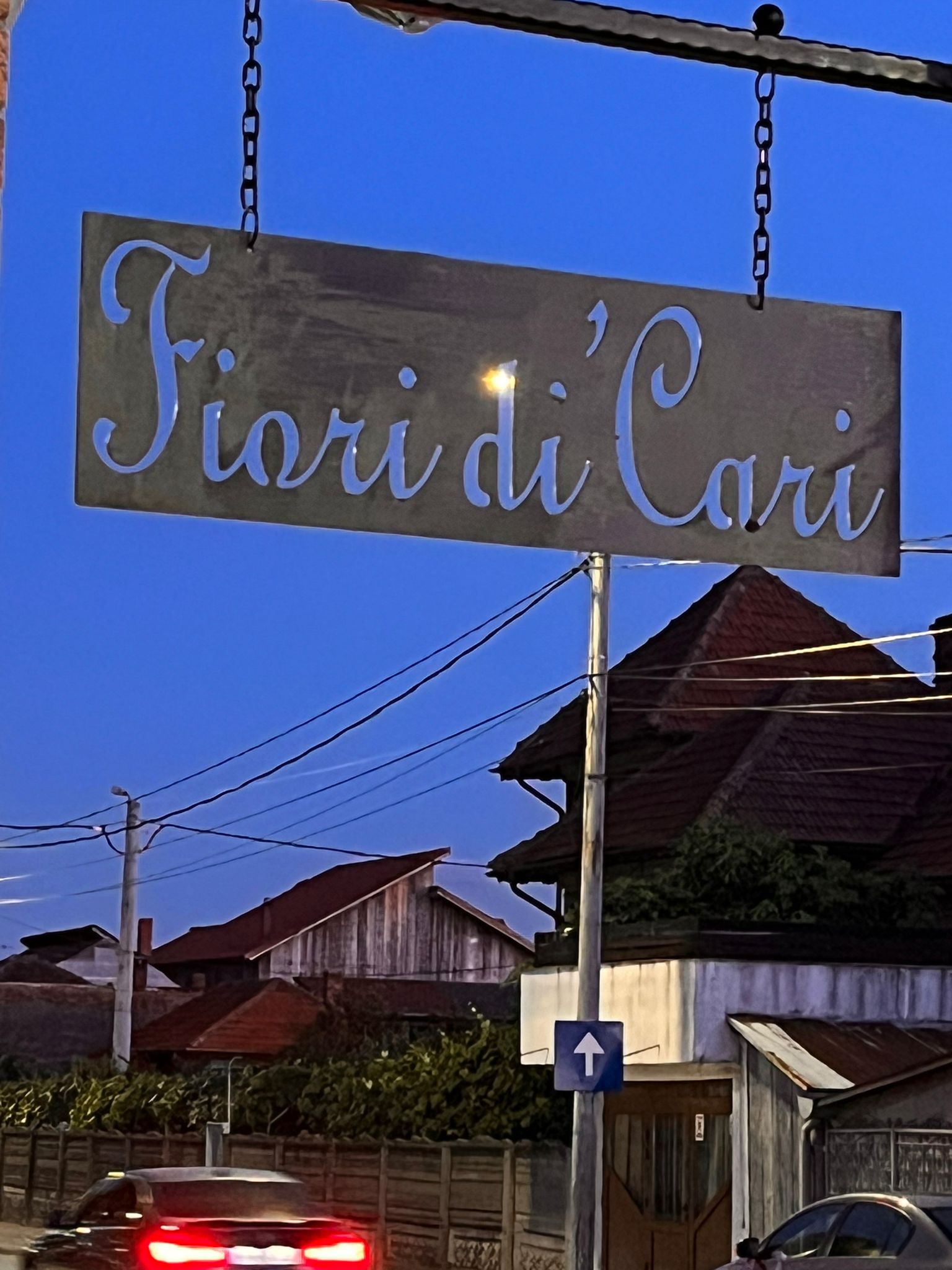 Florăria Fiori di’Cari