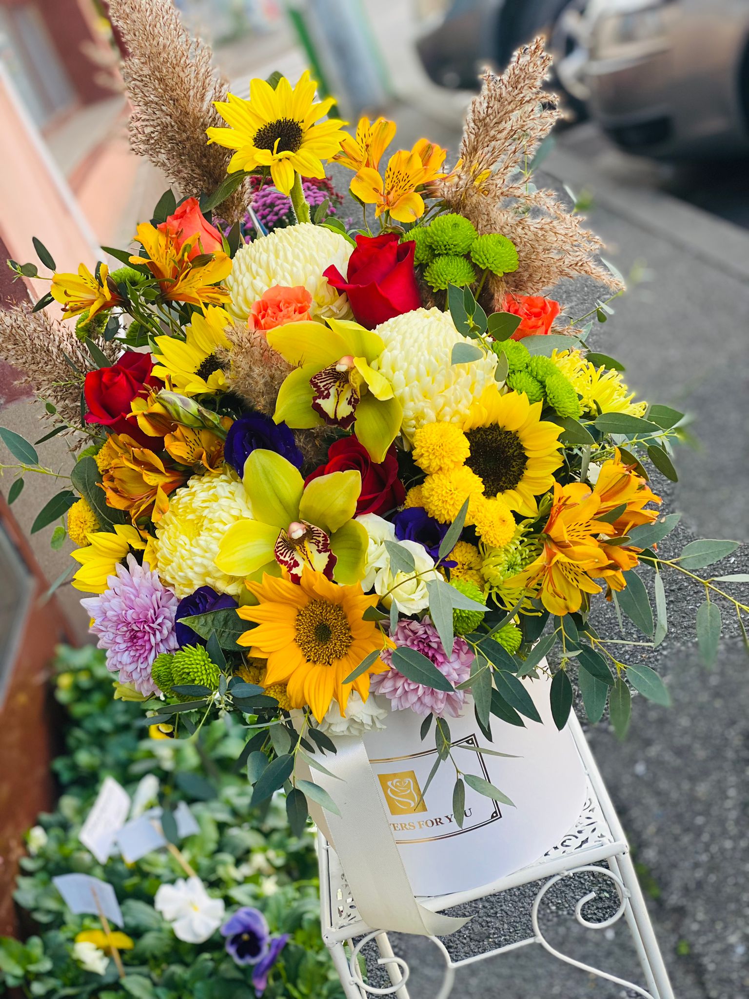 Floraria Ana