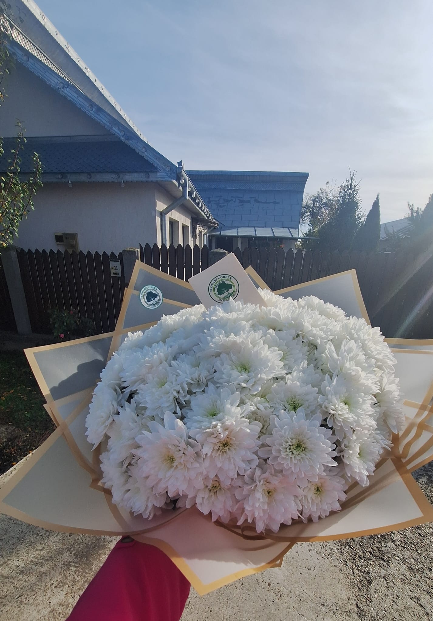 FLORARIA GREEN - cadouri Focsani