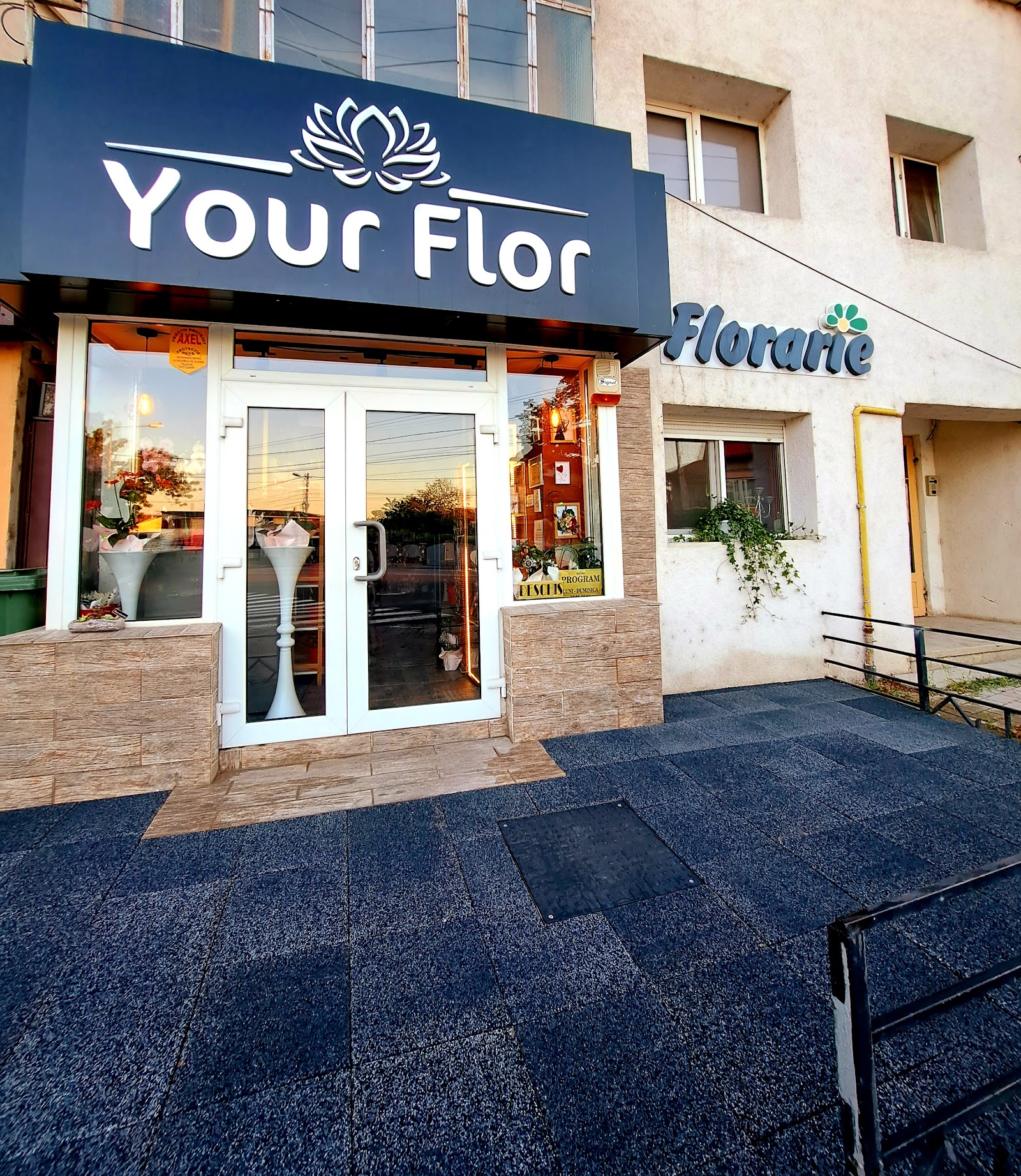 Your Flor Florarie