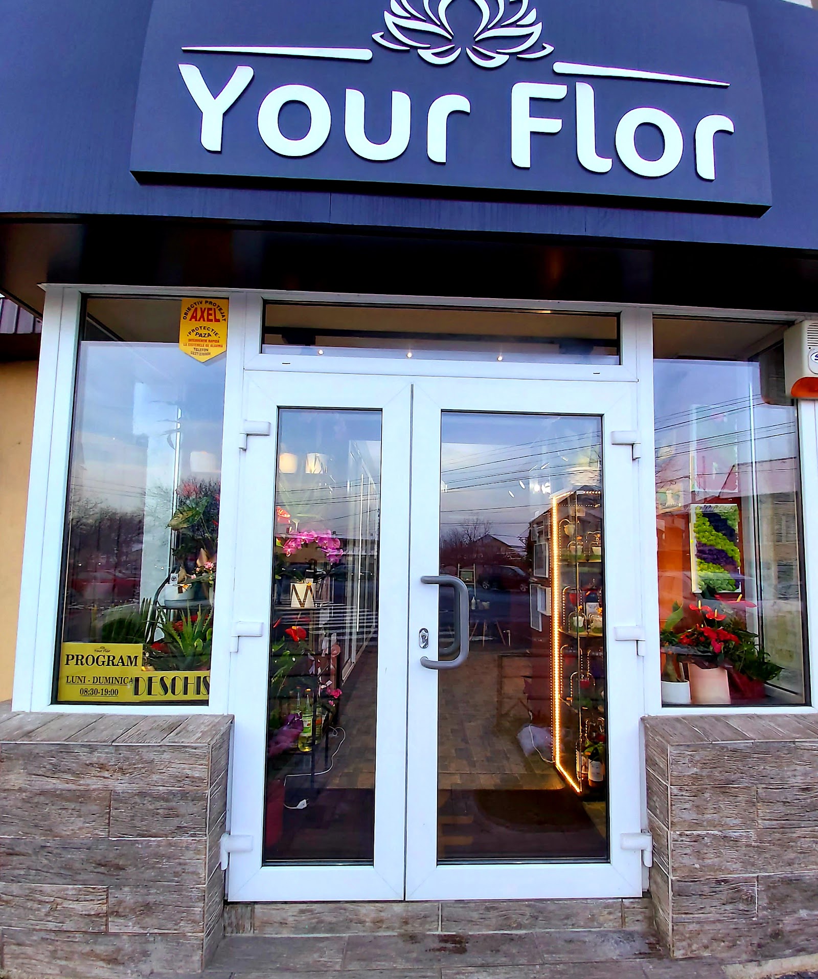 Your Flor Florarie