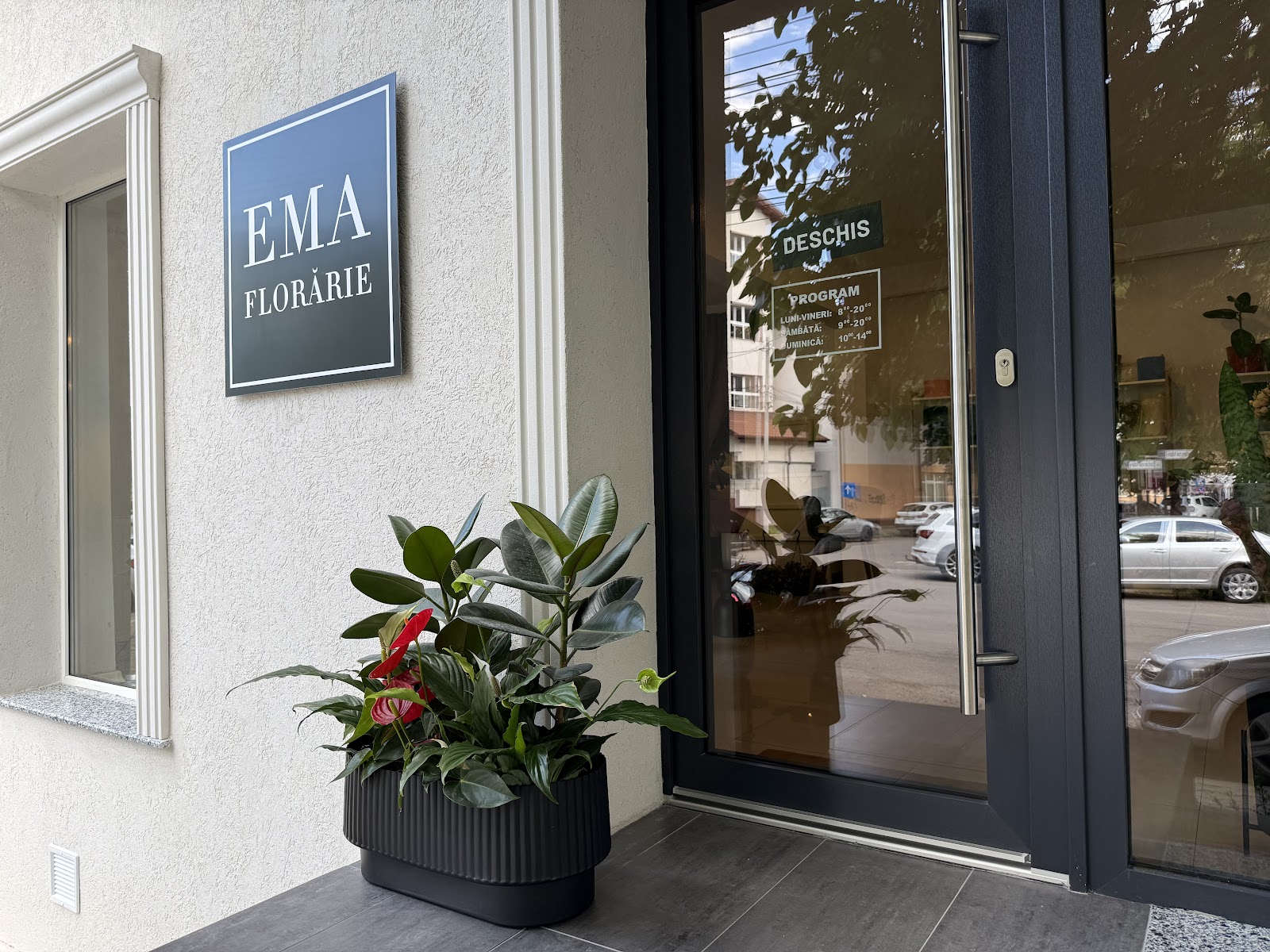 EMA - Florărie în Focșani - Livrare flori Vrancea