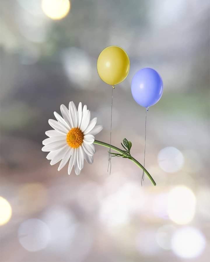 Florăria Floral Boutique