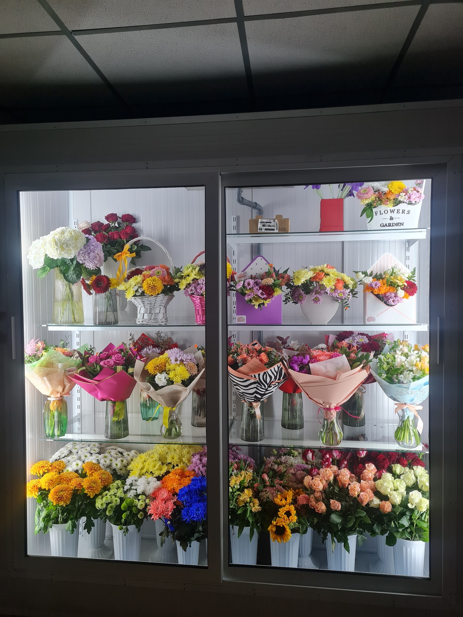DIVINE BLOOM Florărie Focșani