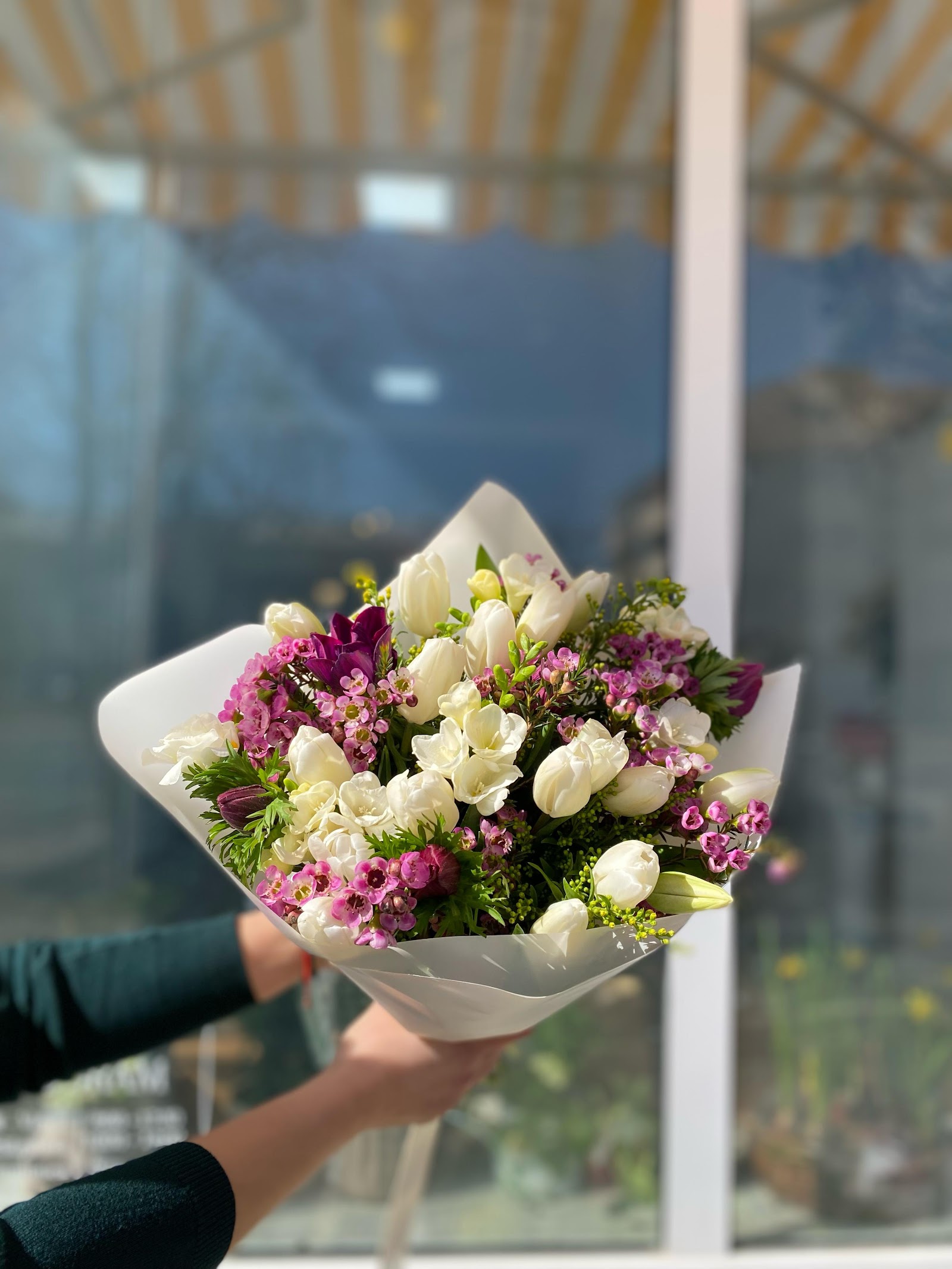 Blumen Galerie