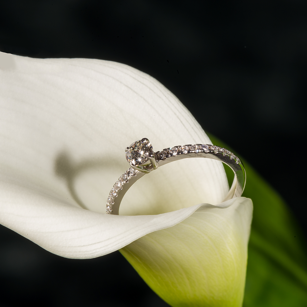 ZEHAVA Jewelry