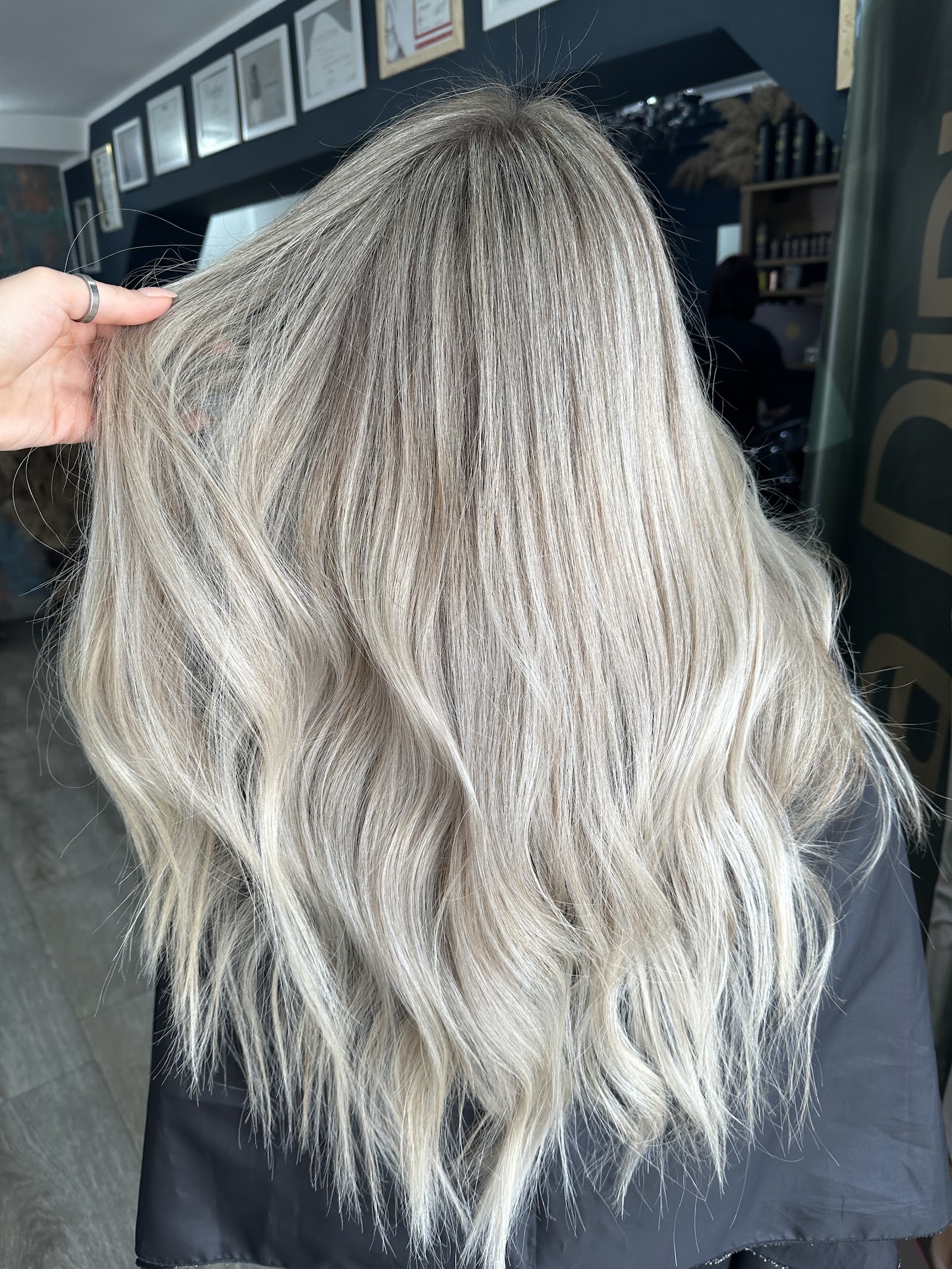 CONCEPT SALON ALINA DINU