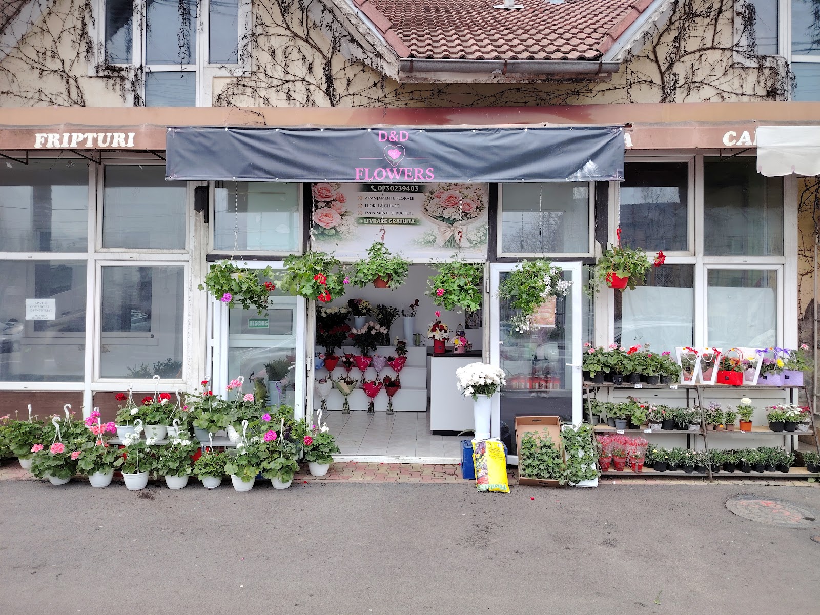 D&D FLOWERS TÂRGOVIȘTE