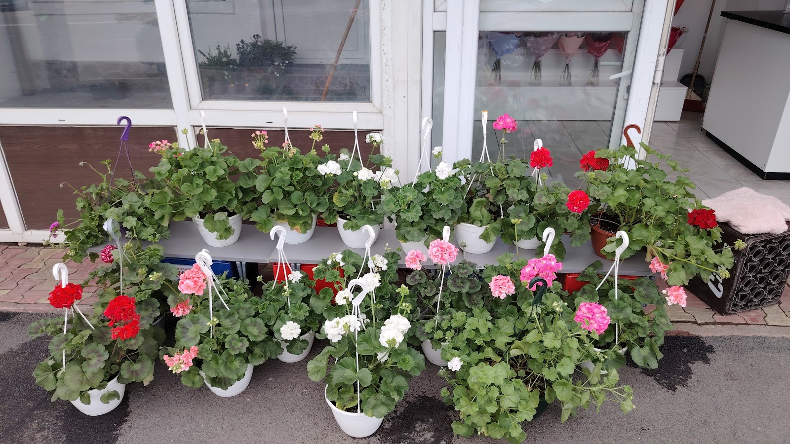 D&D FLOWERS TÂRGOVIȘTE