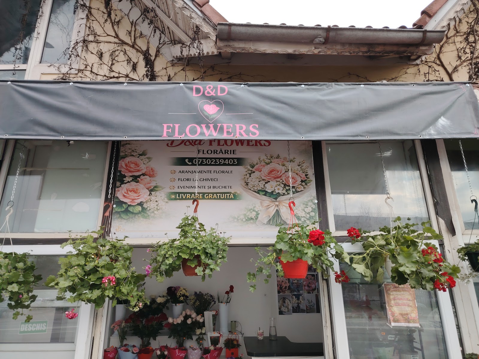 D&D FLOWERS TÂRGOVIȘTE