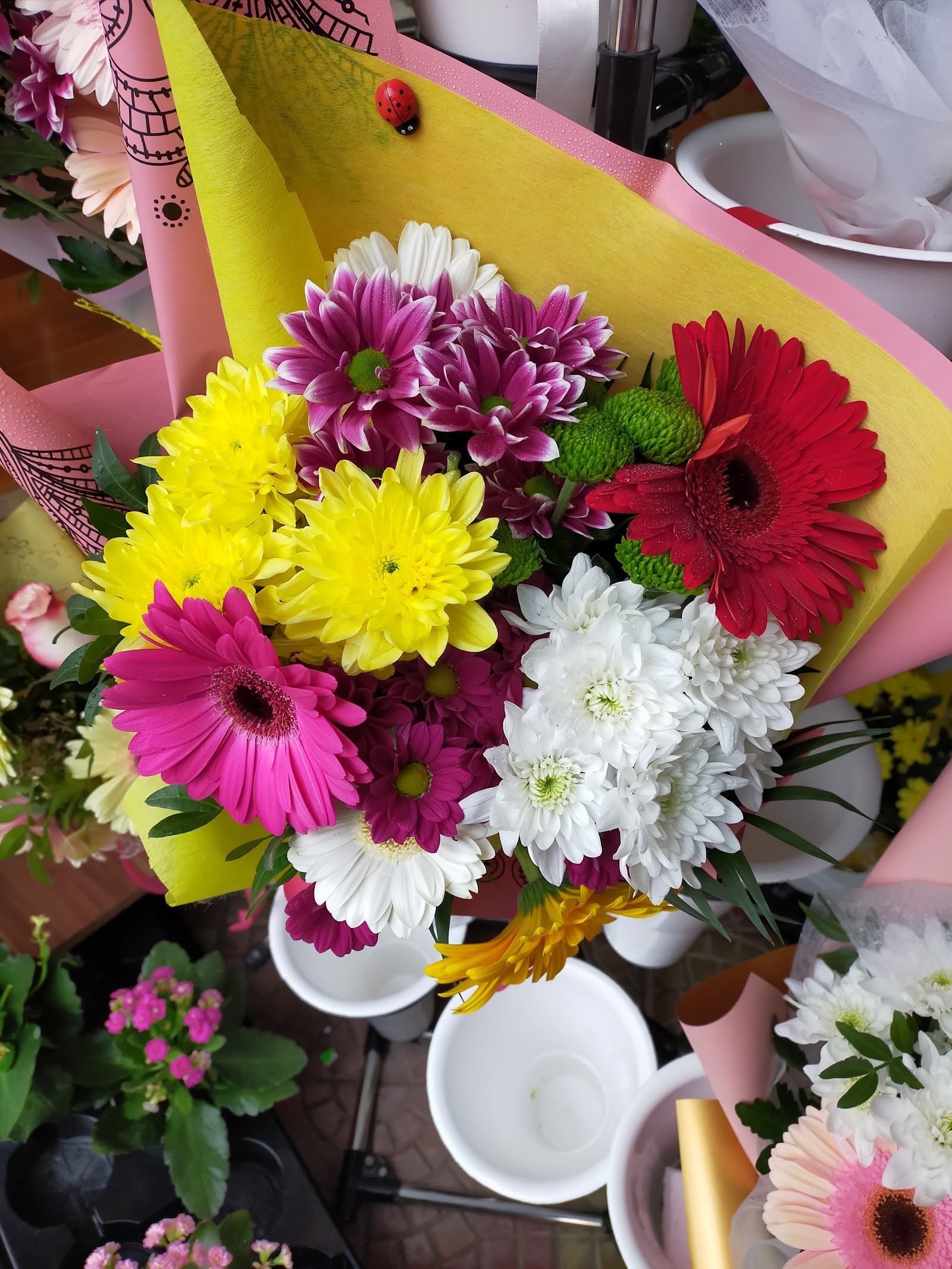 Ella Flowers - Buchete si aranjamente florale Targoviste