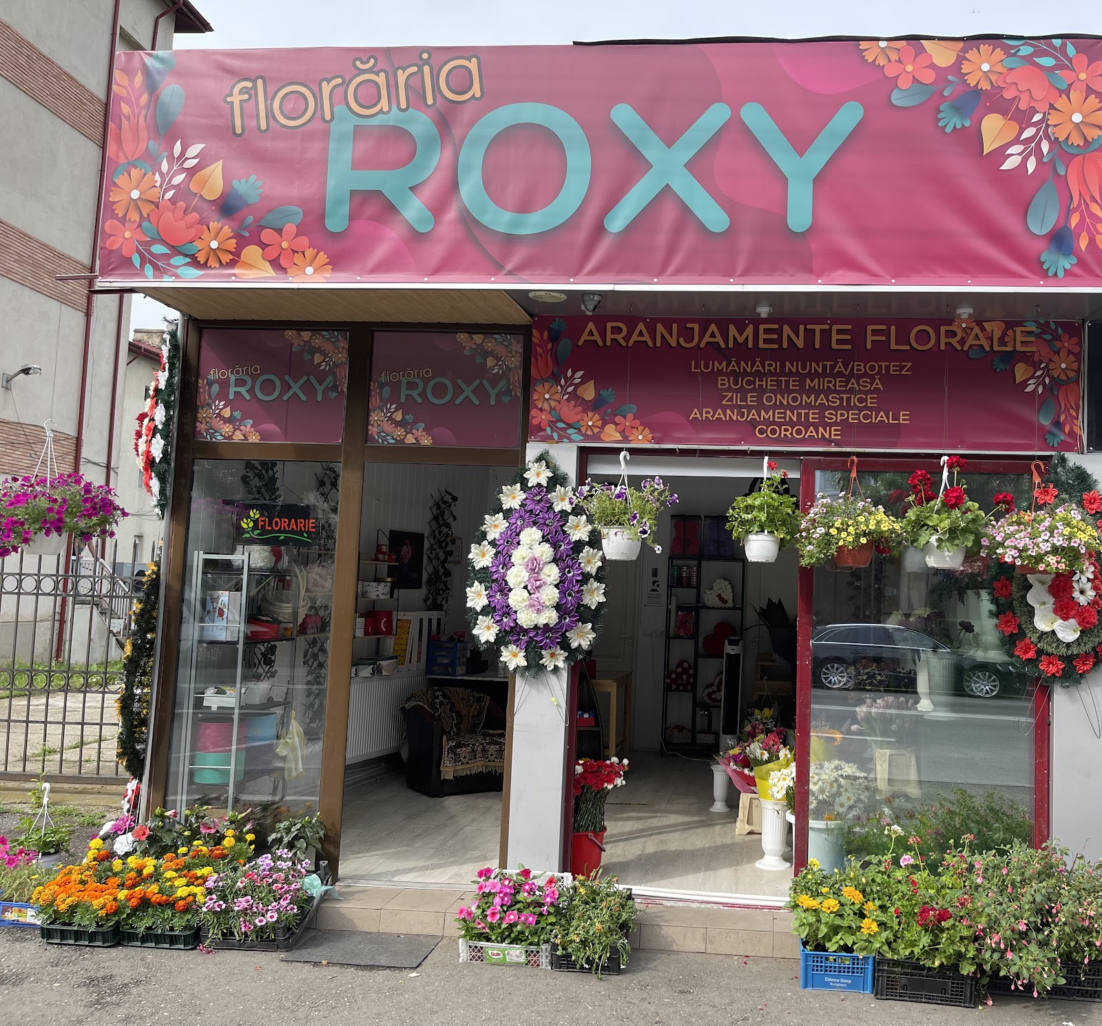 Florăria roxy