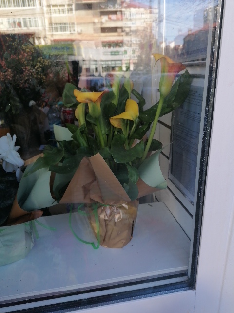 Mary’s Flowers Boutique