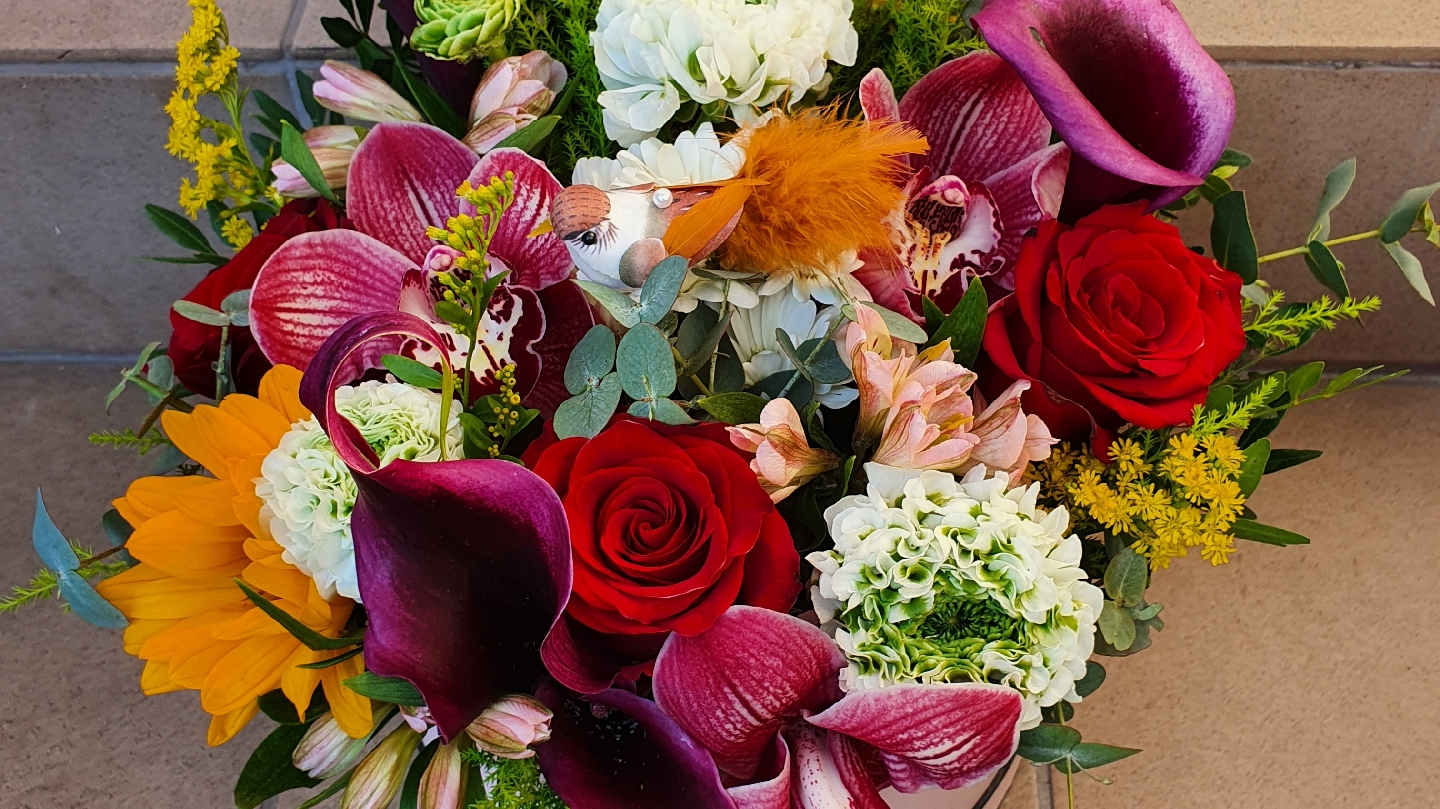 Floraria David