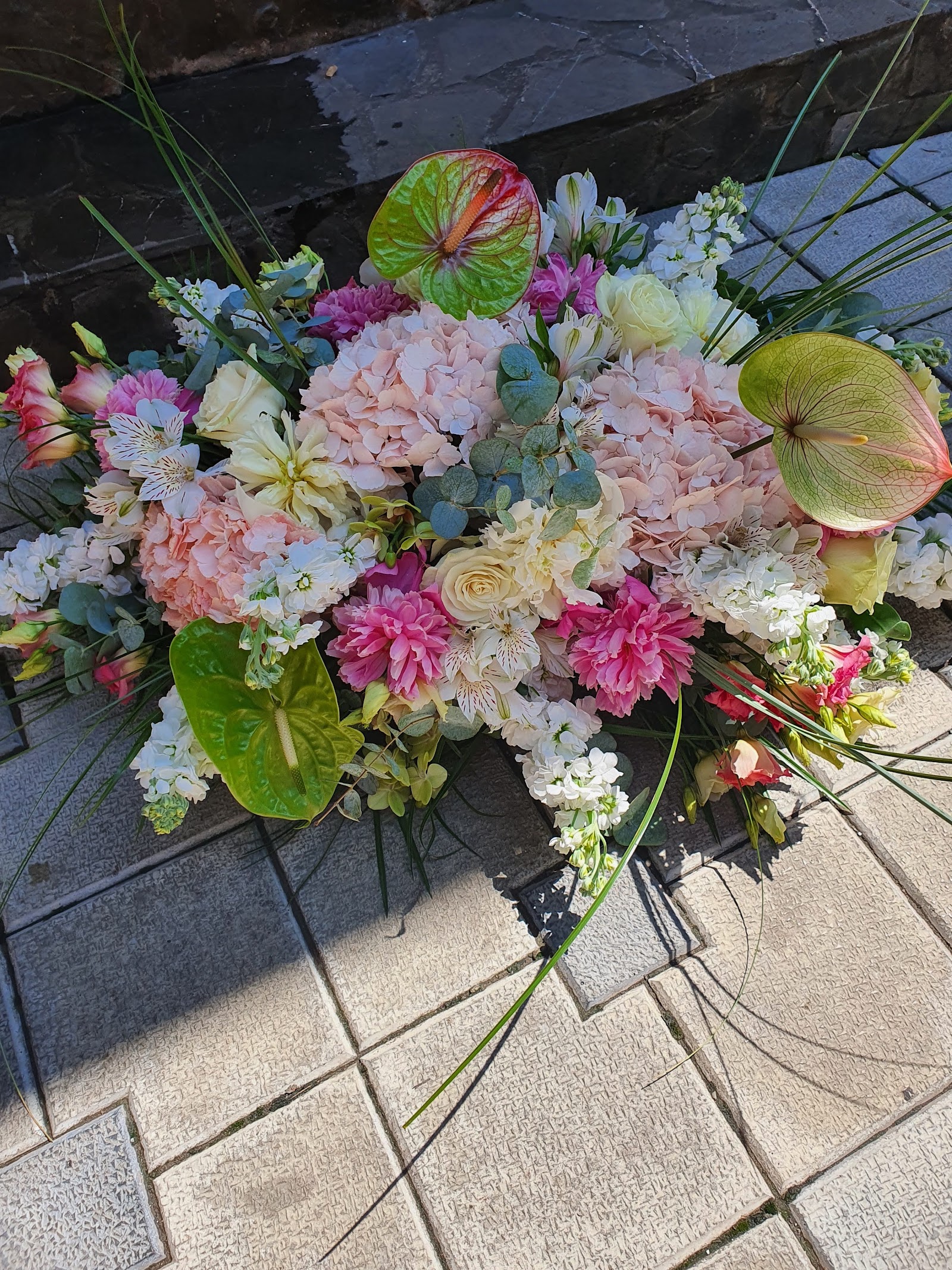 Floraria David