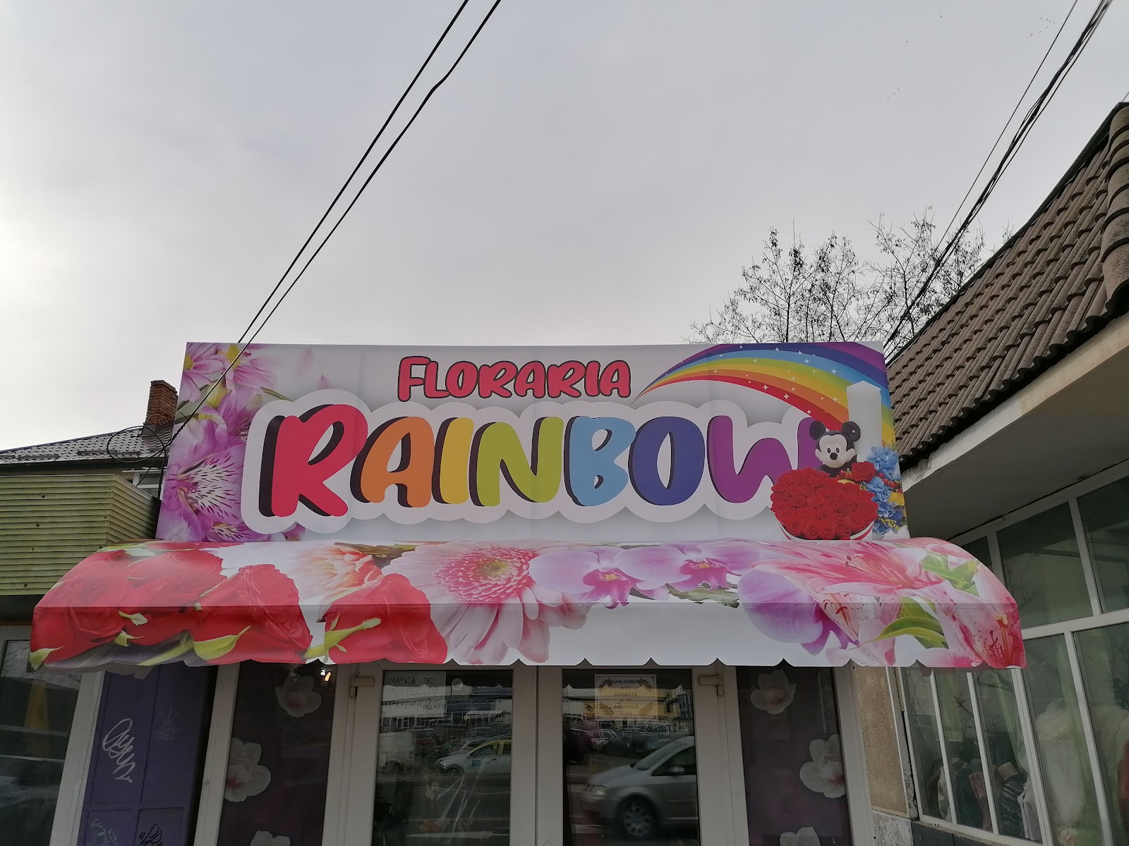 Florăria Rainbow
