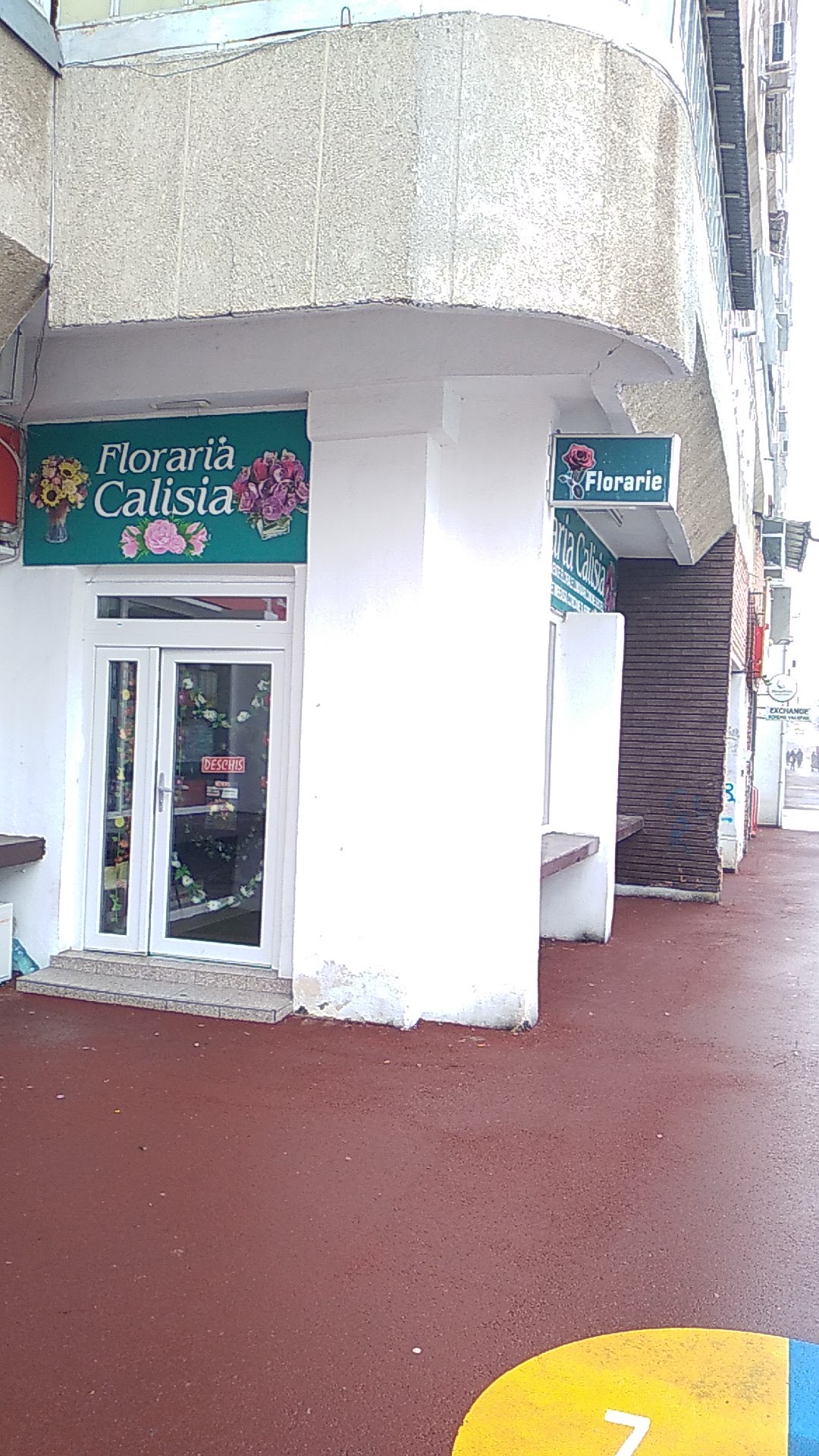 Floraria Calisia