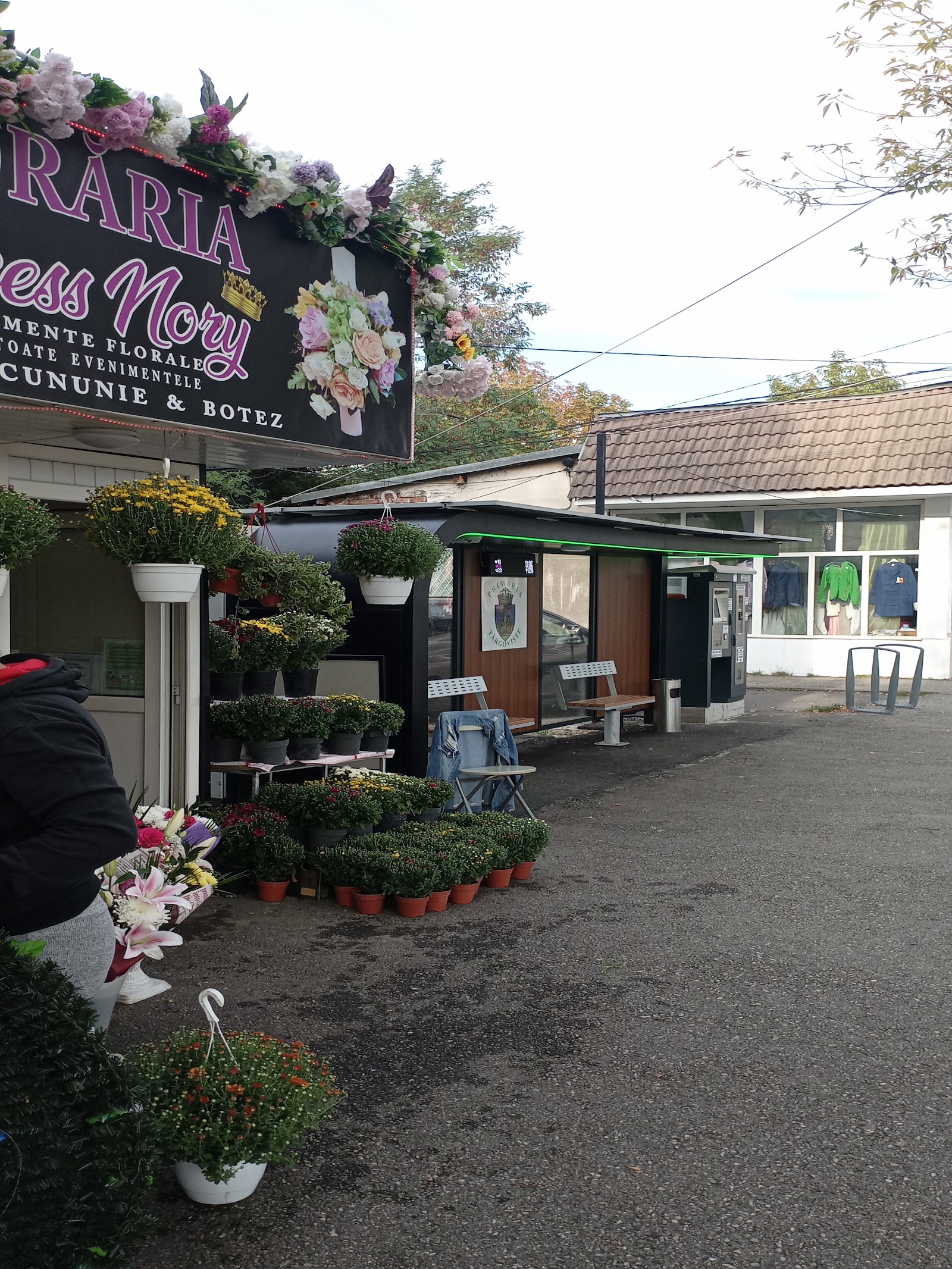 FLORARIA PRINCESS NORY