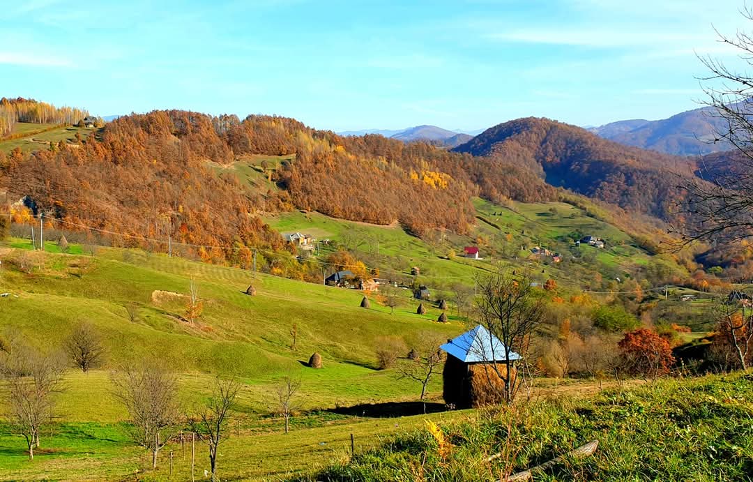Calatorii si Vise Implinite Bucuresti/Targoviste