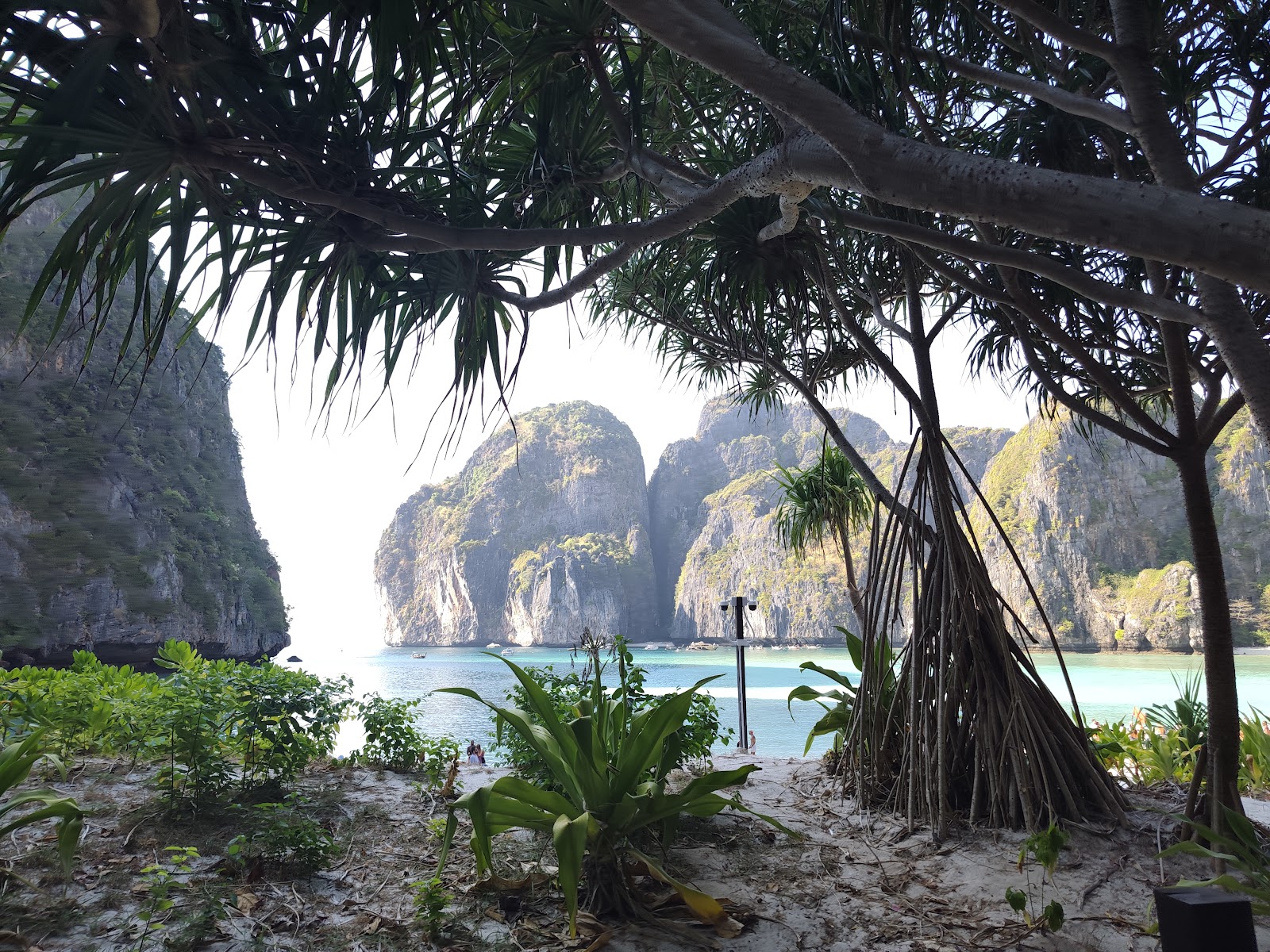 Anahata Travel & Wellbeing