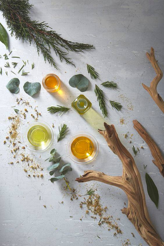 Cosmetica Naturista Mirela