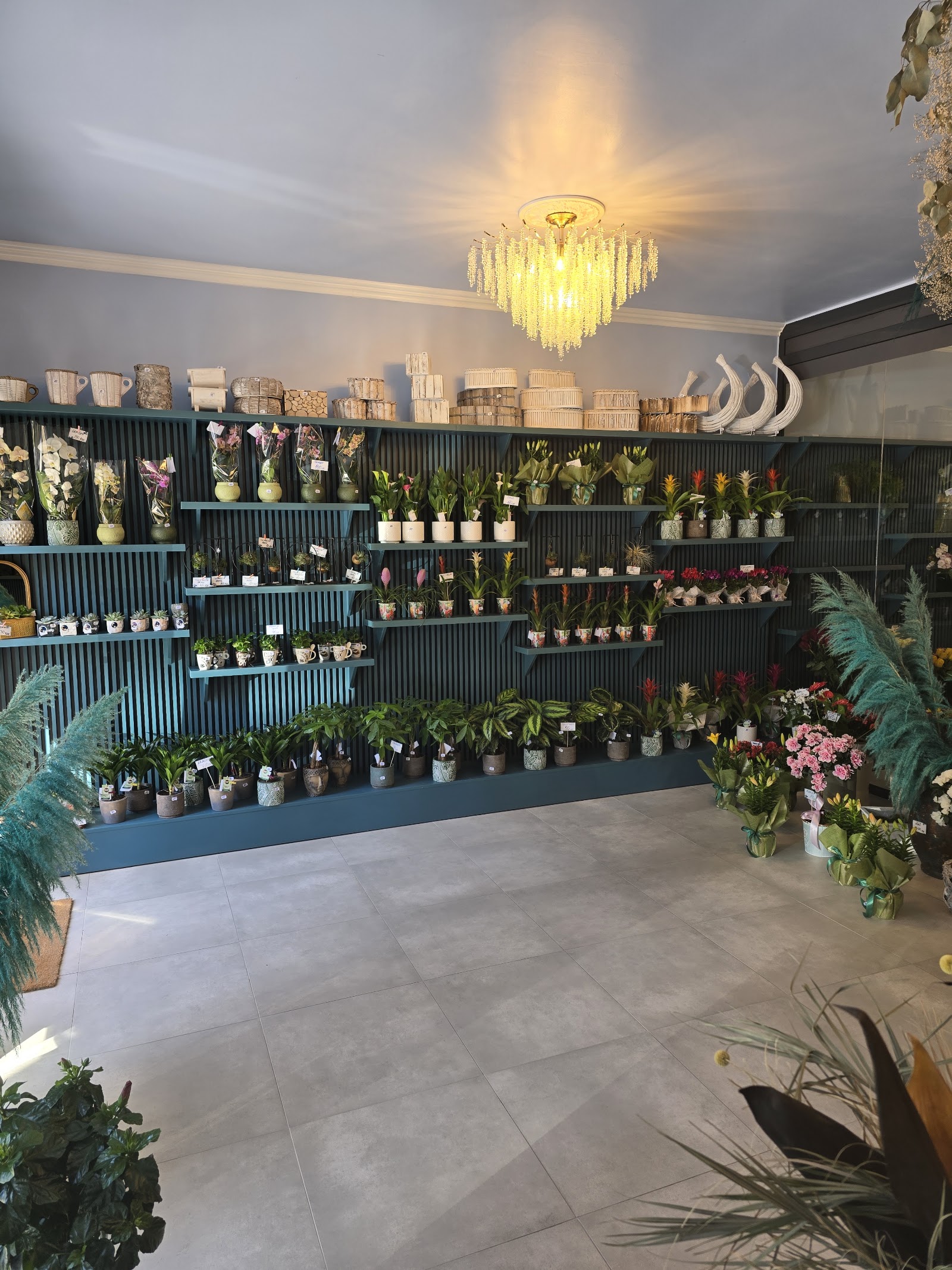 Sun Flowers Boutique