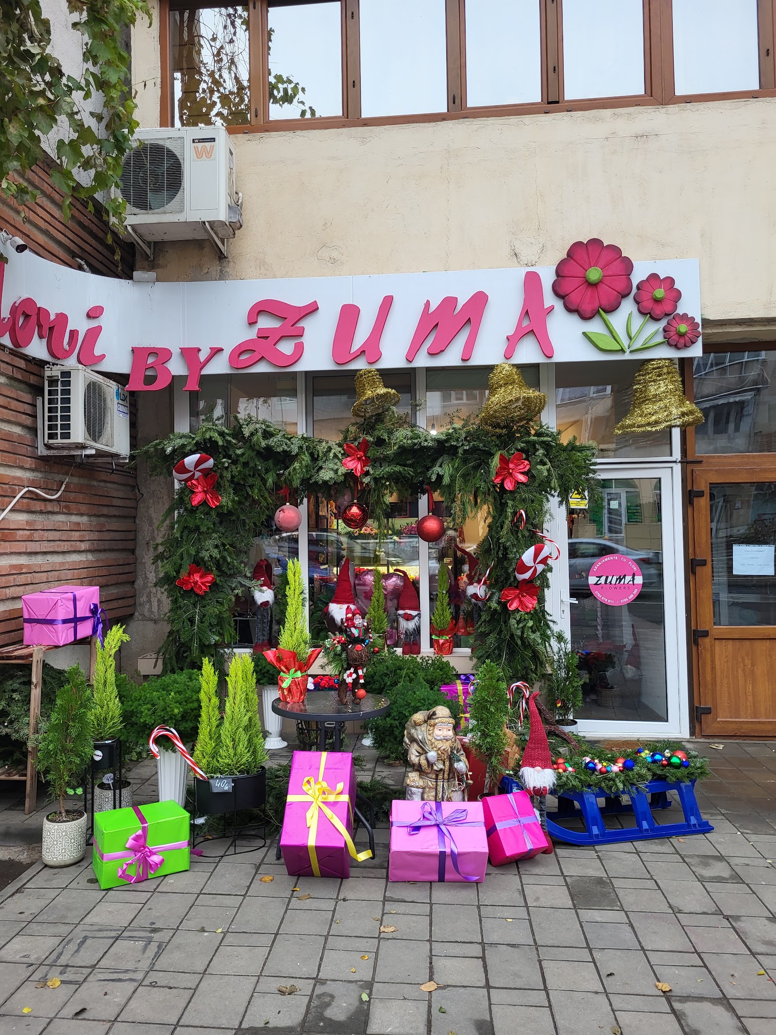 Zuma Flowers
