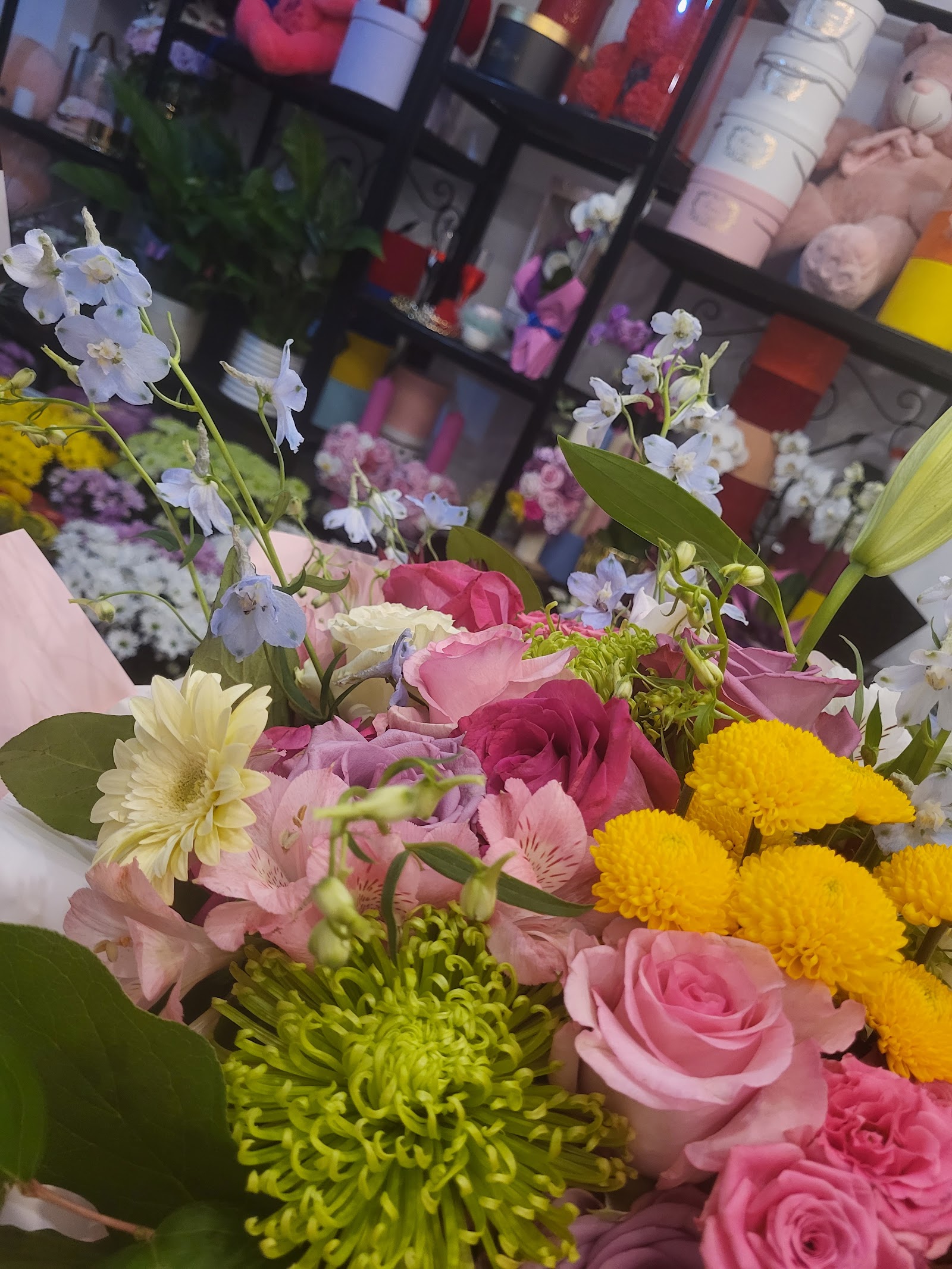 Zuma Flowers