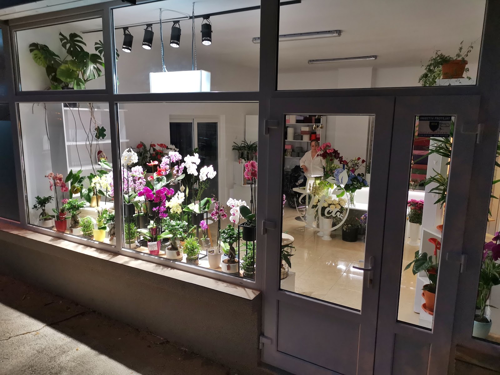 Uca Flowers