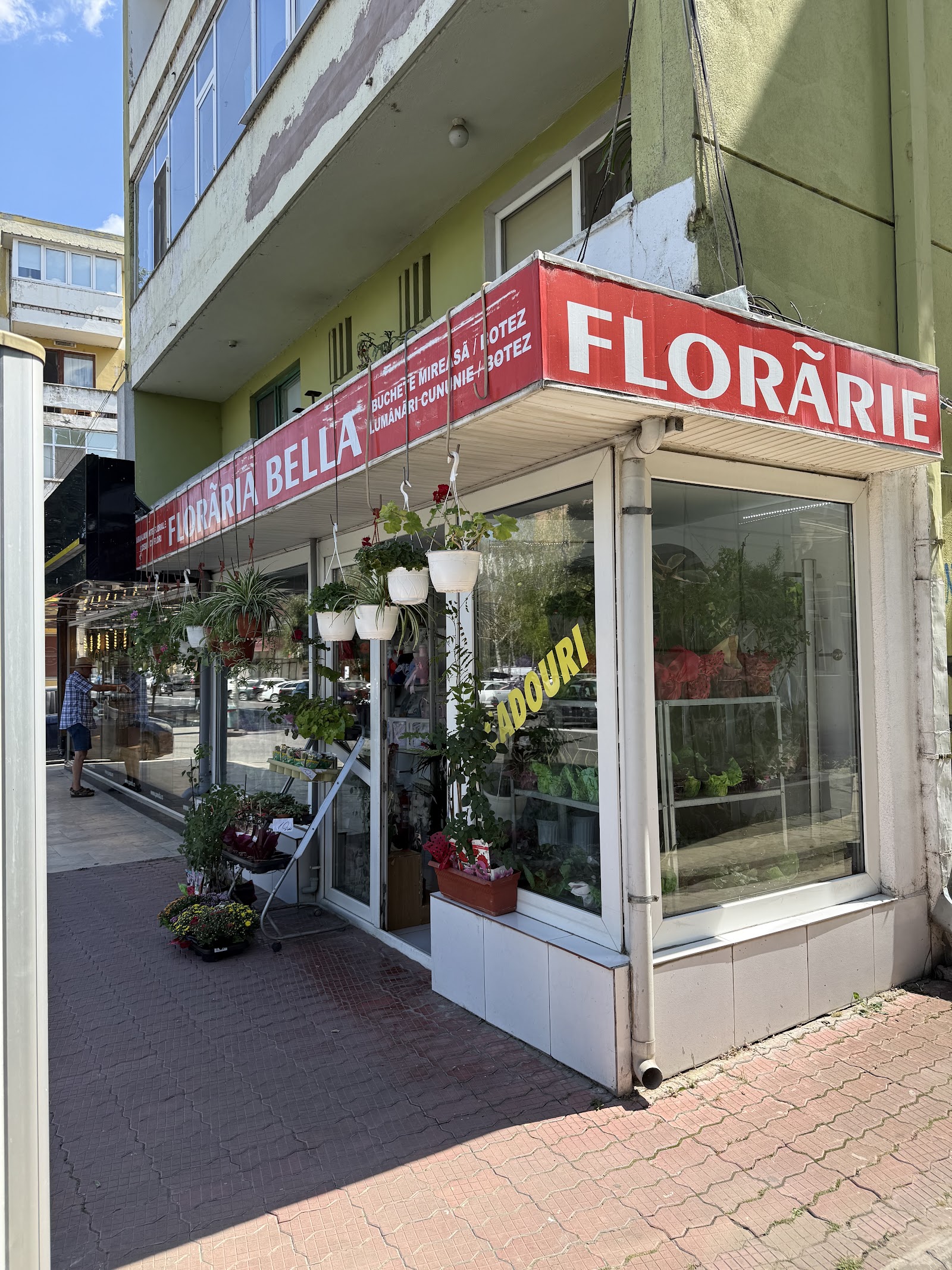 Florăria Bella