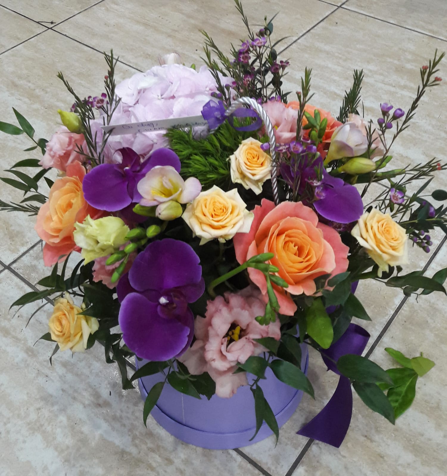 Floraria Gardenia