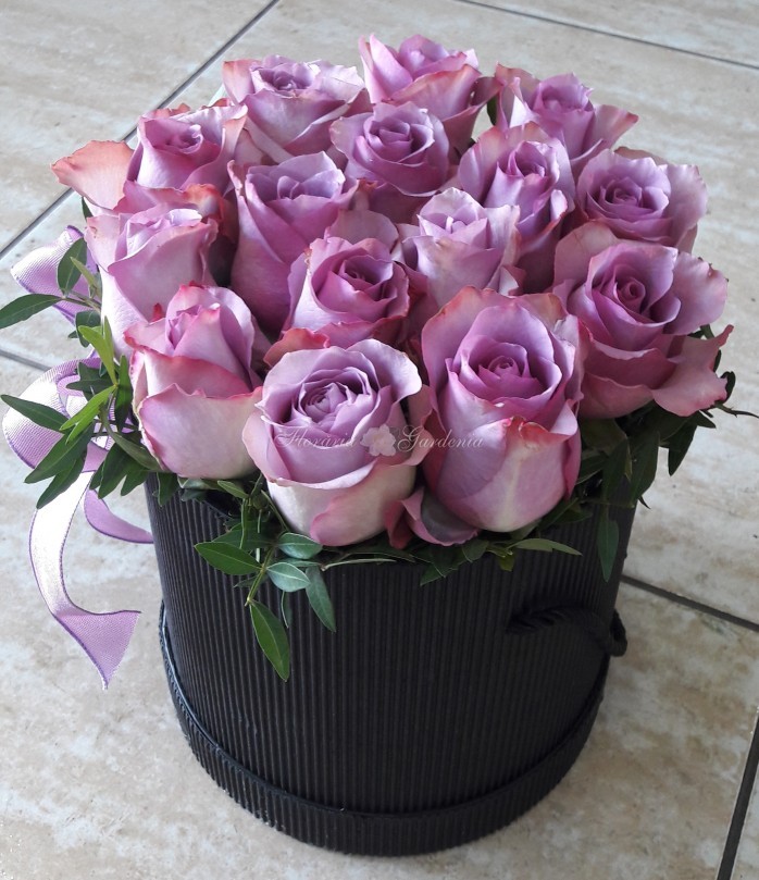 Floraria Gardenia
