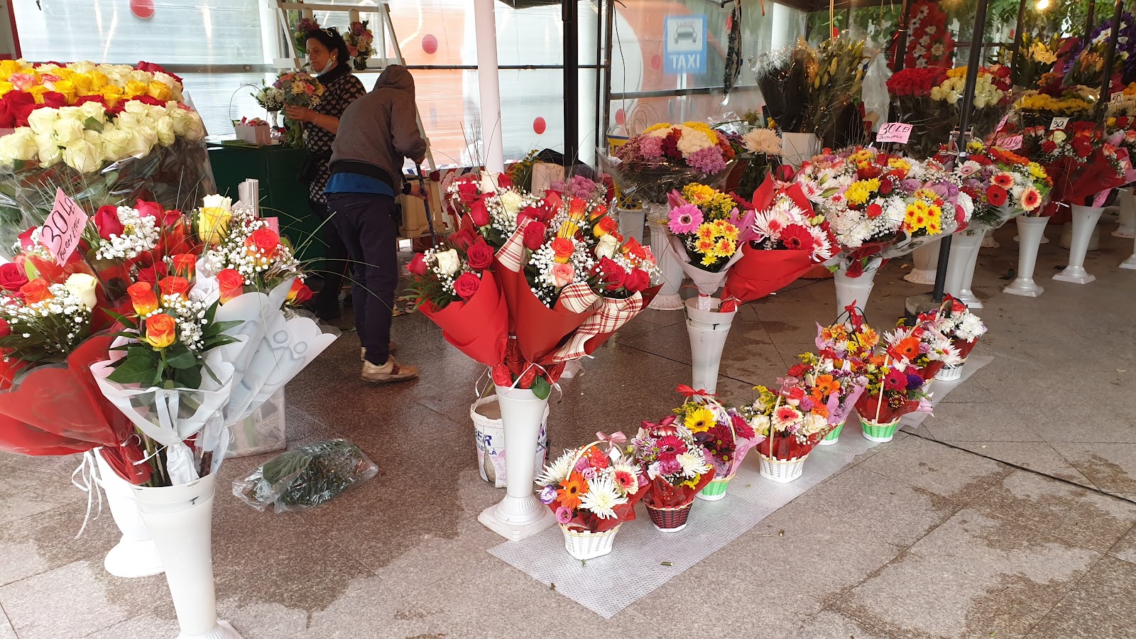 Flowers by Teona