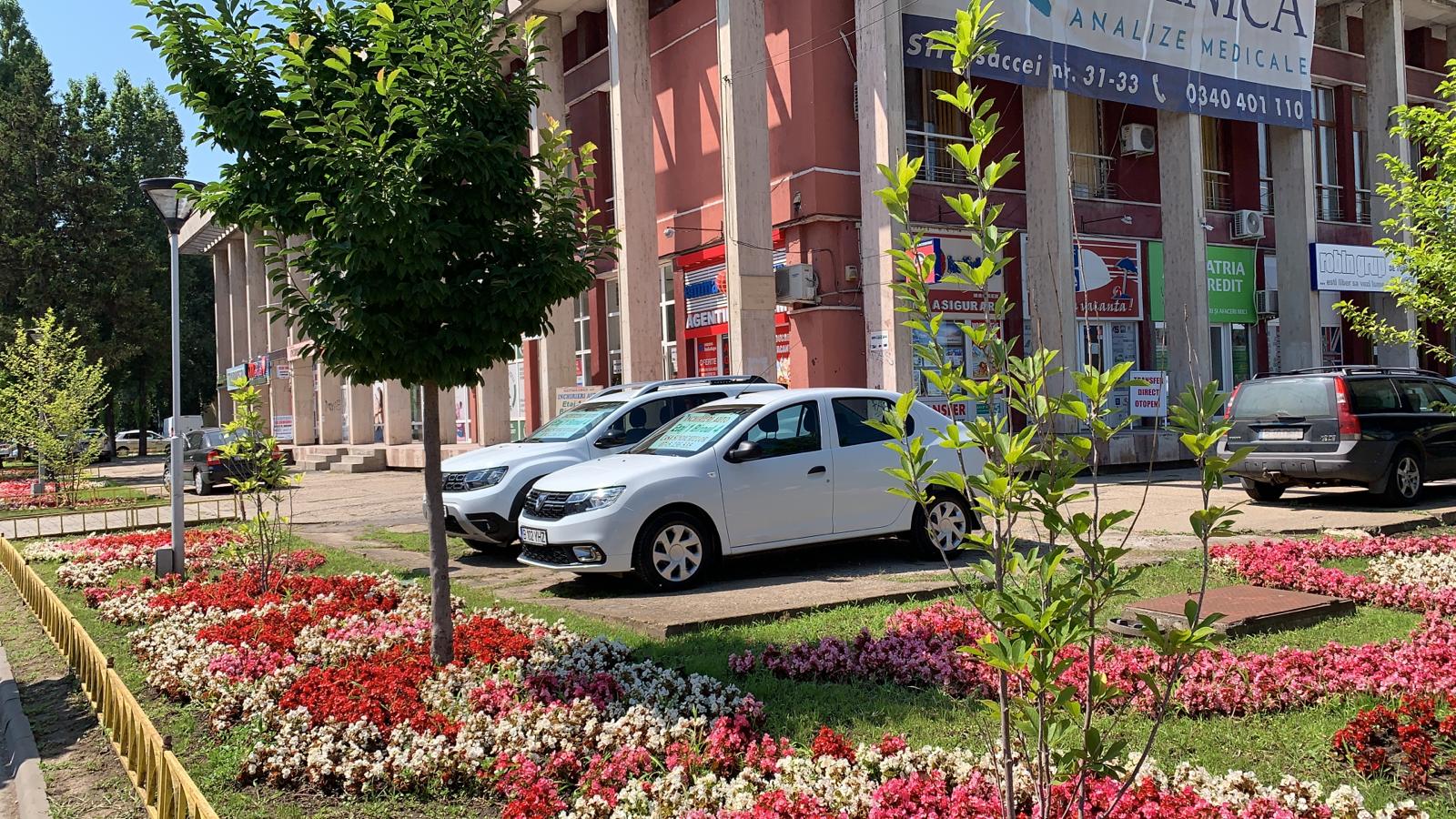 Rent a Car Tulcea