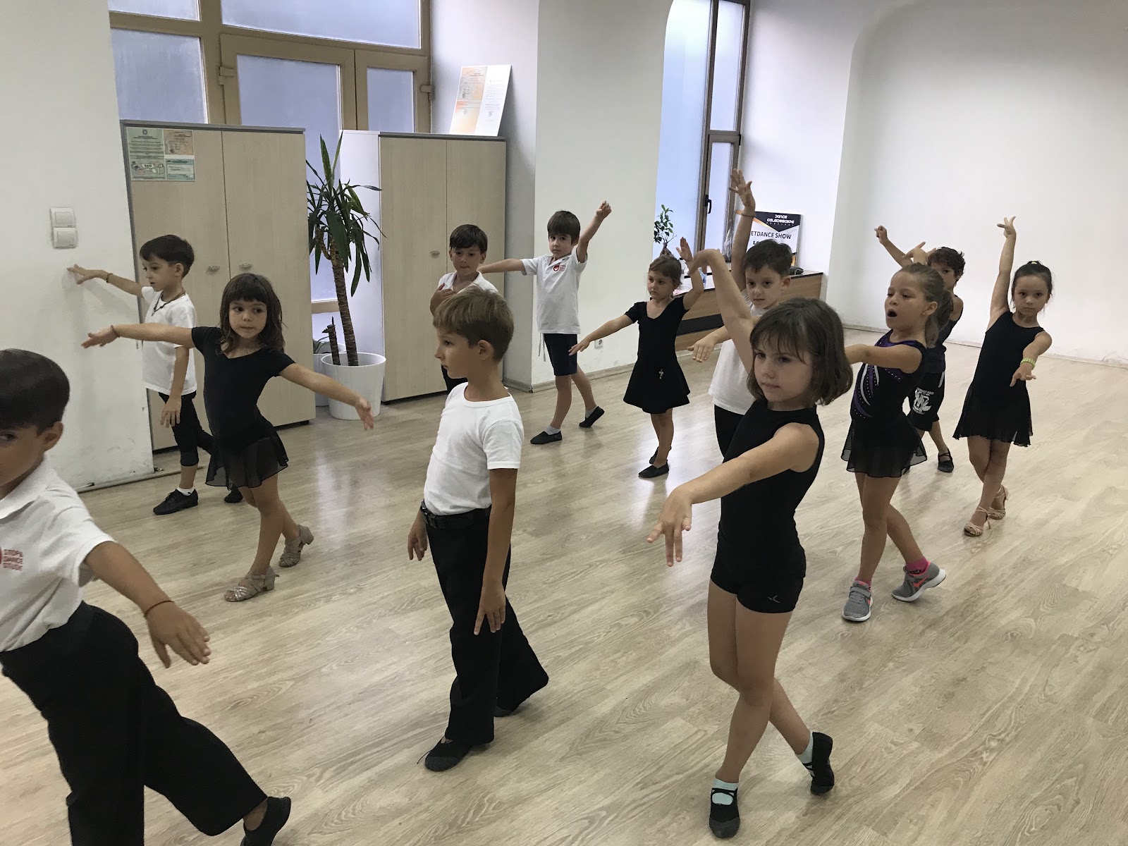 Scoala de dans Stop and Dance (Lujerului - Veteranilor)