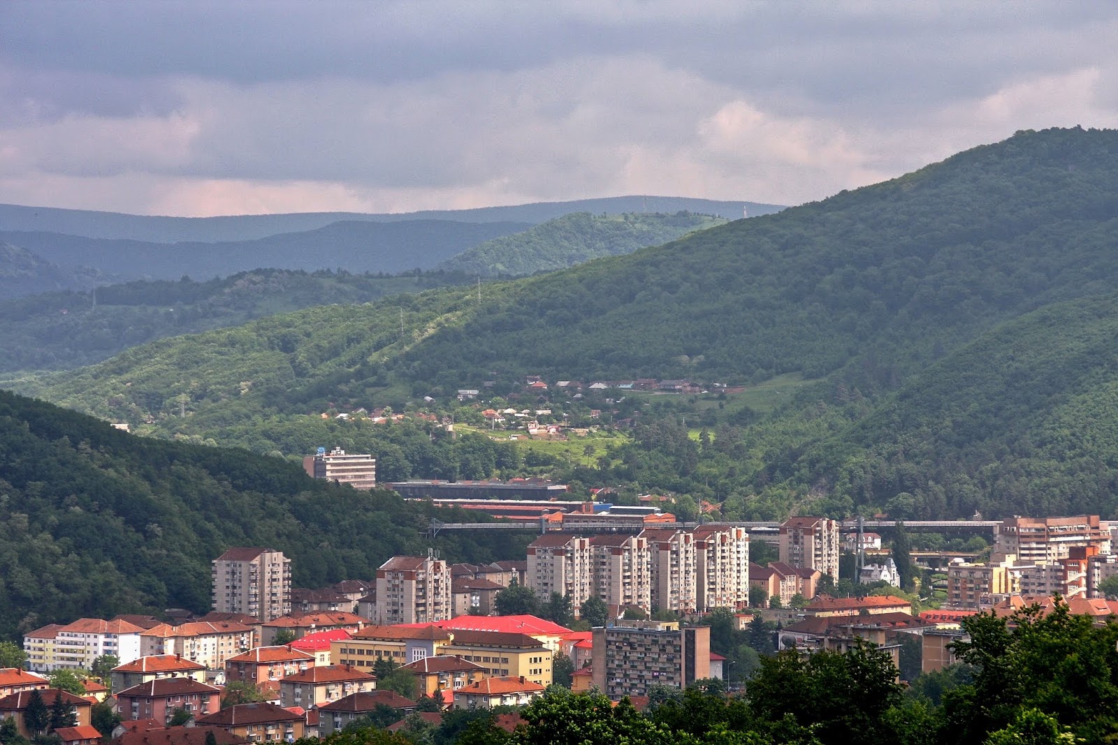 Dusan și Fiul