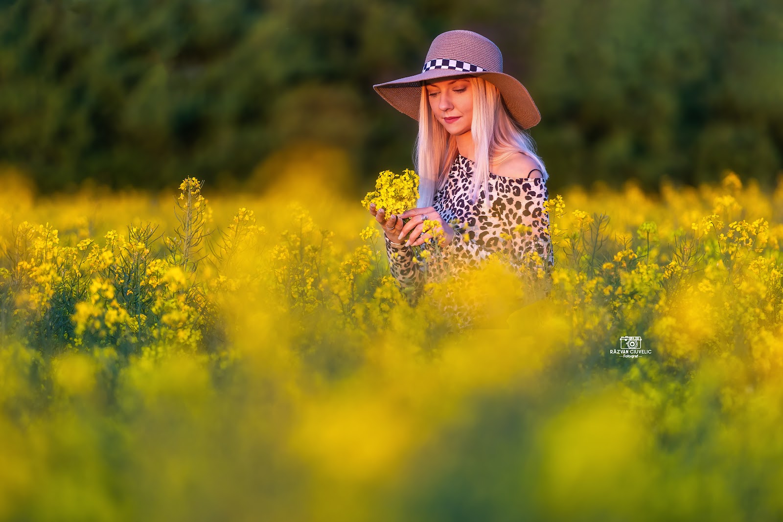 Răzvan Ciuvelic Fotograf