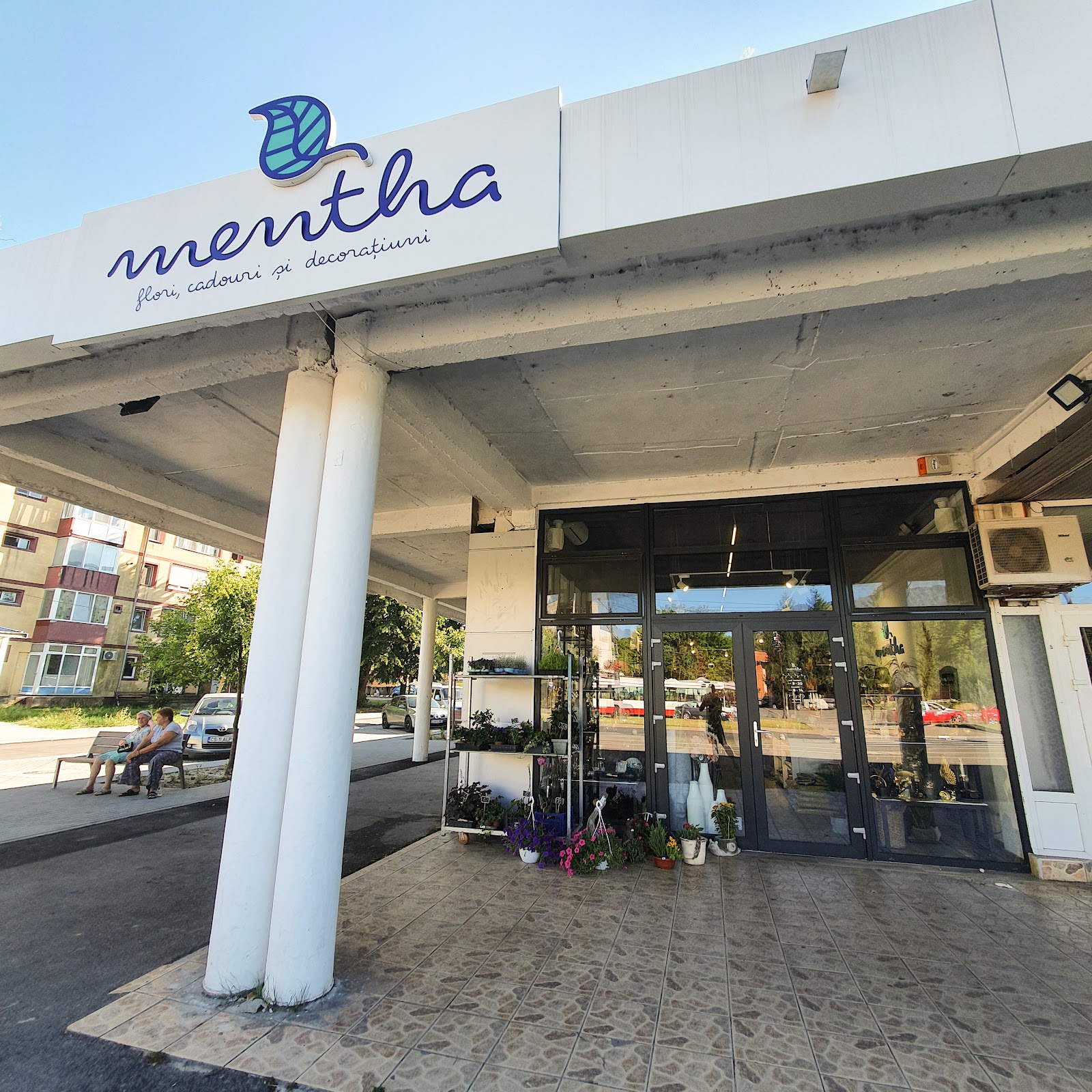 Mentha — Complex Victoria
