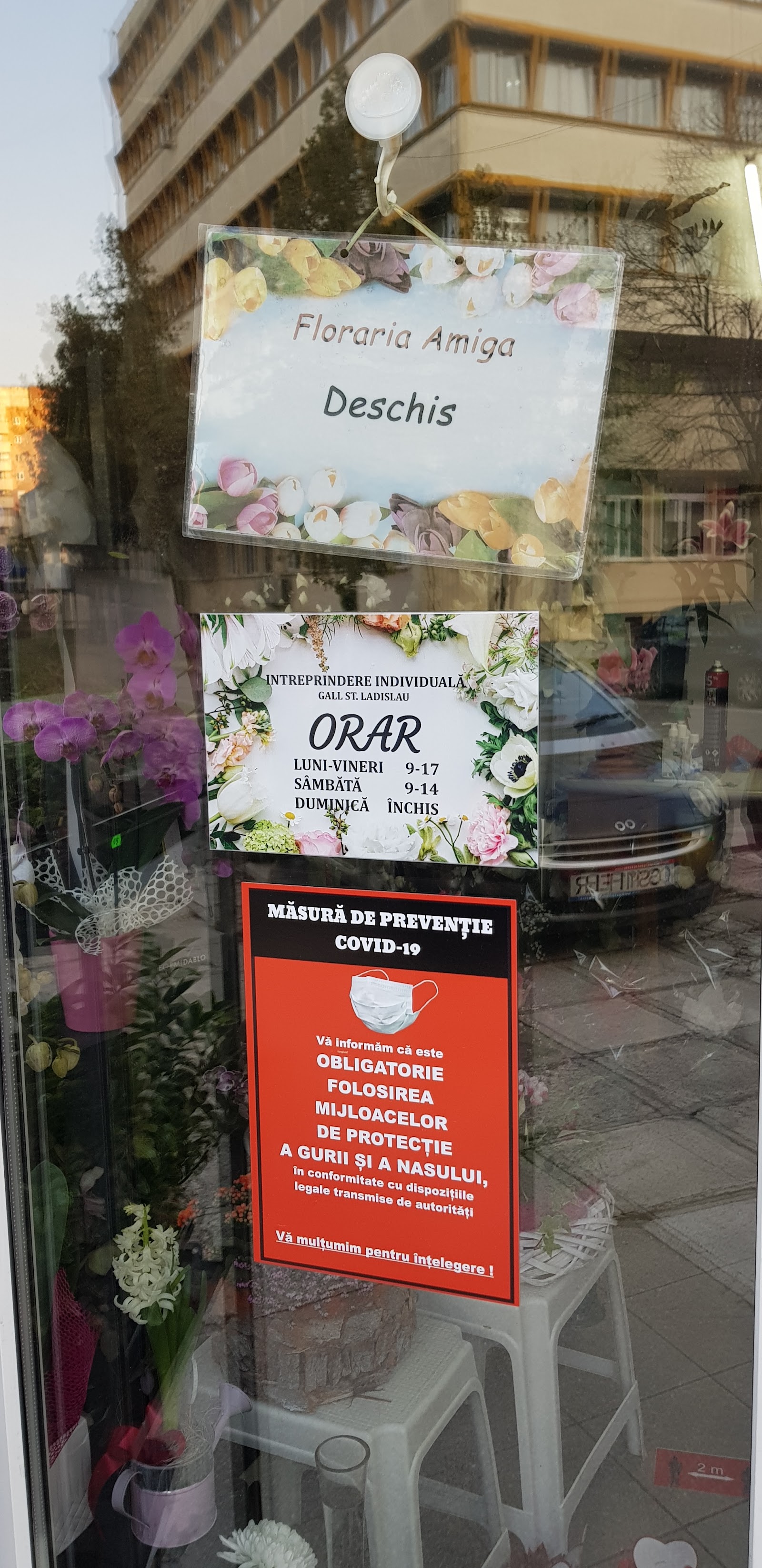 Floraria Amiga