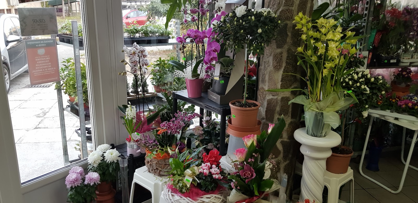 Floraria Amiga