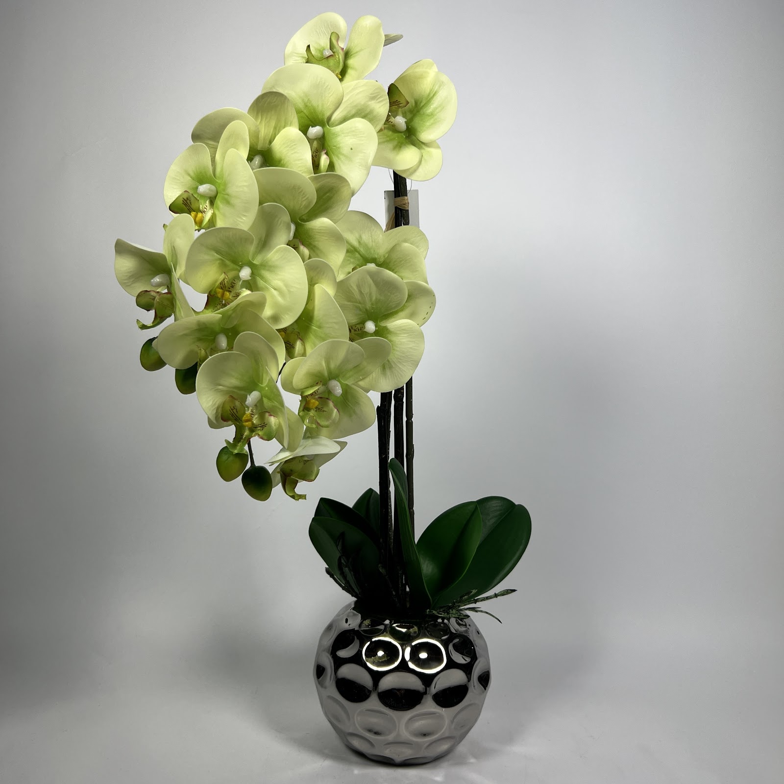 Decor Trendy