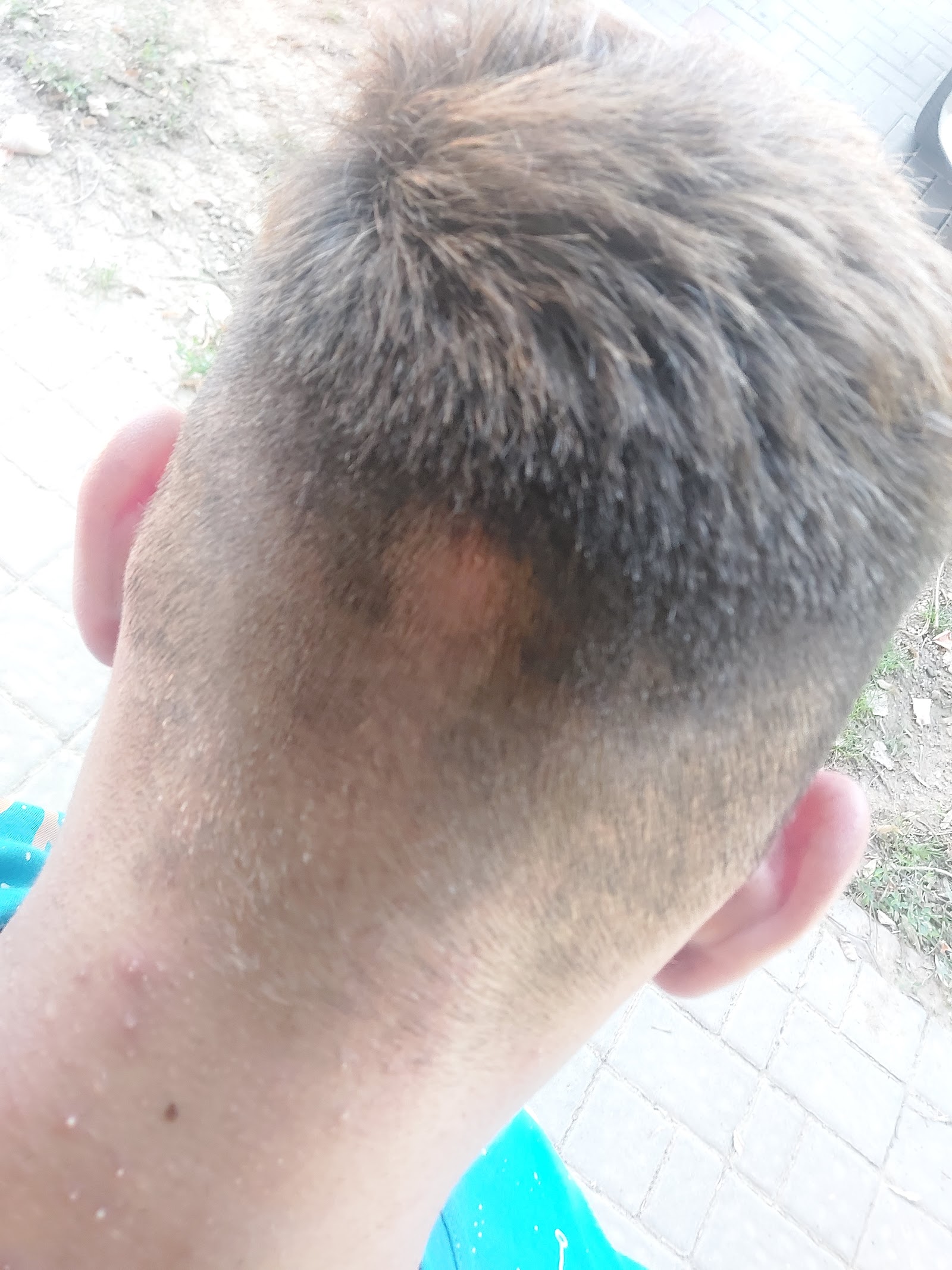 Salon Bella Donna