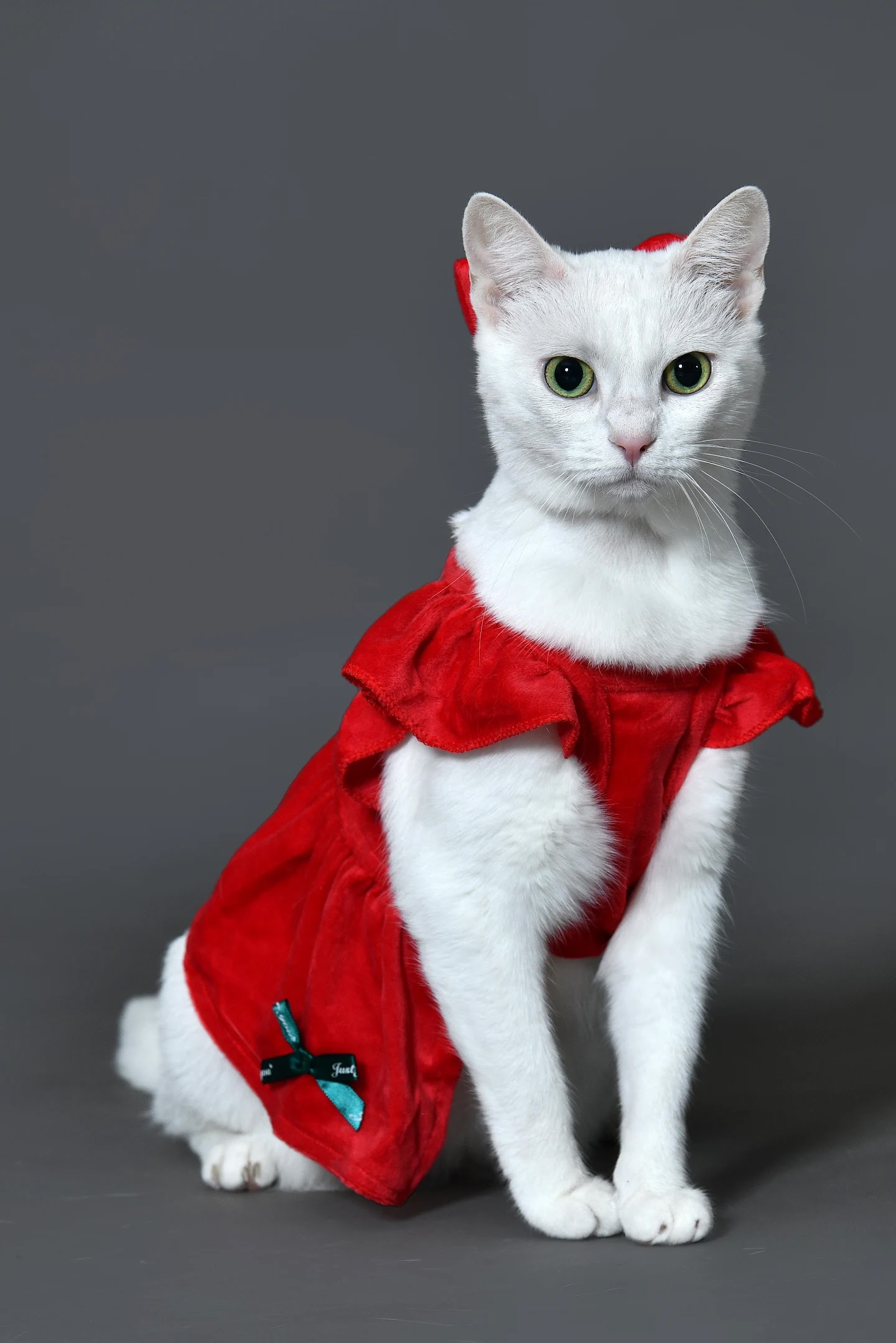 Studio Foto București