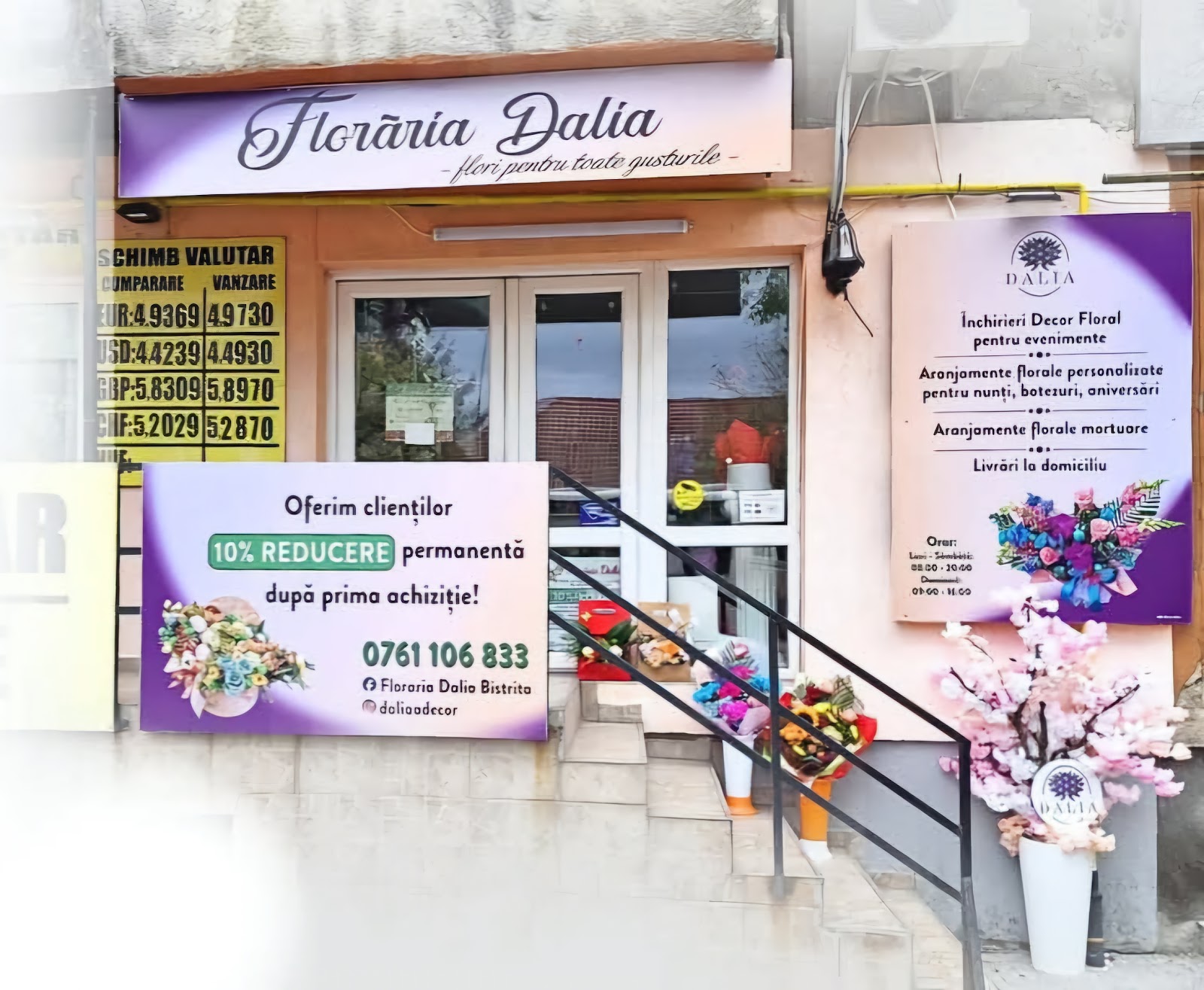 Floraria Dalia Bistrita