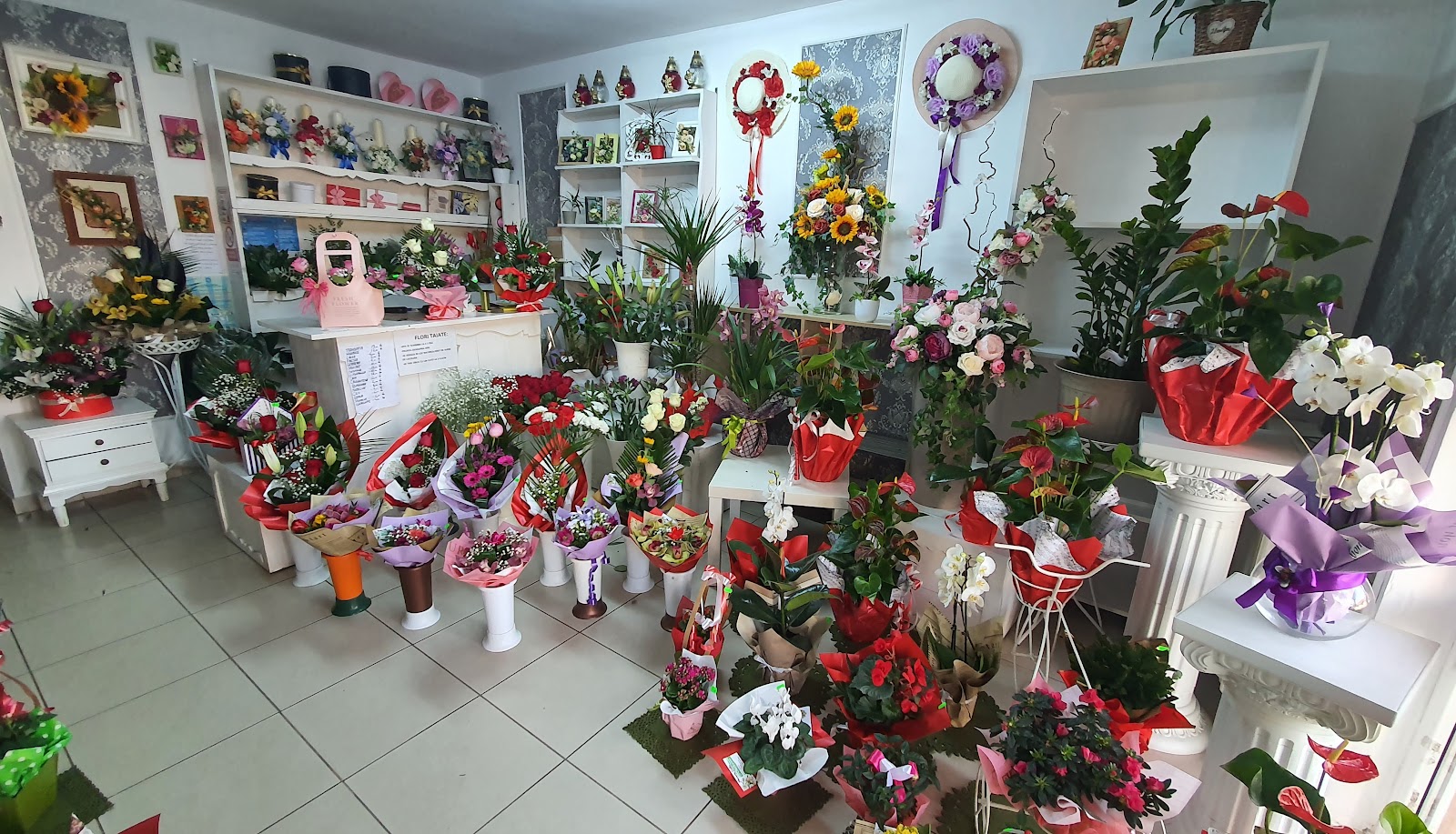 Floraria Dalia Bistrita