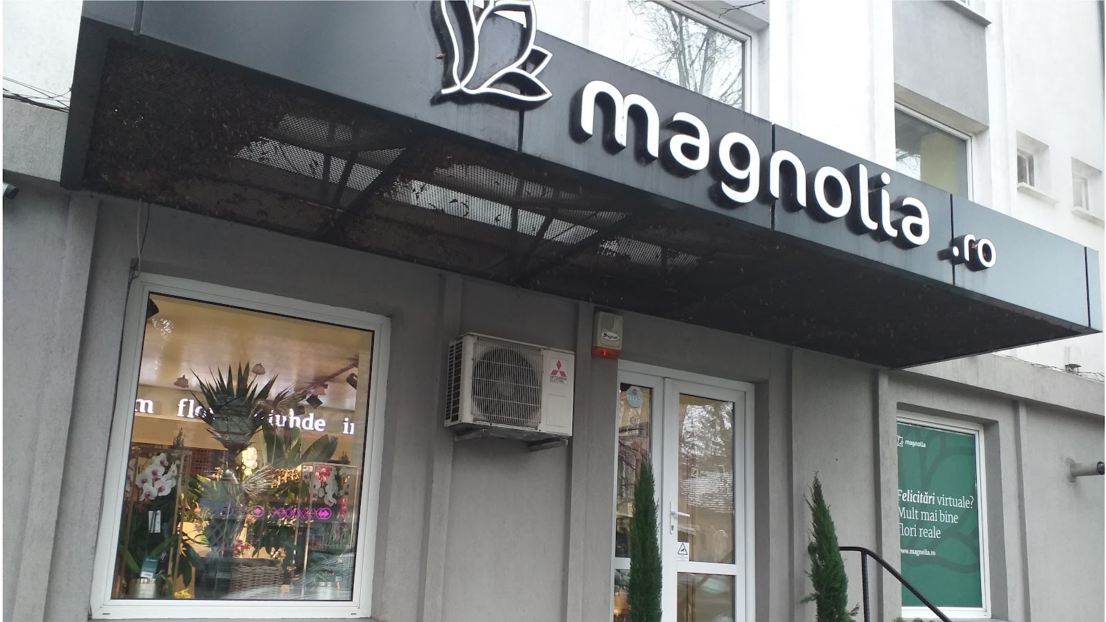 Florăria Magnolia Bistrița (Bd. Republicii)