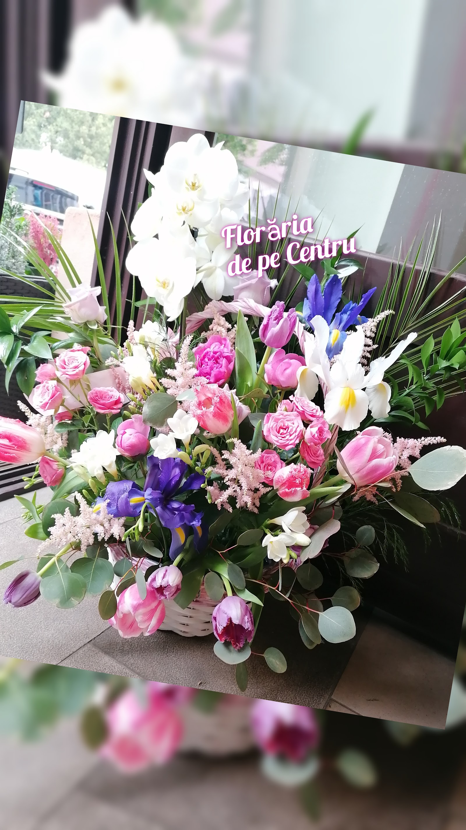 Florăria de pe Centru