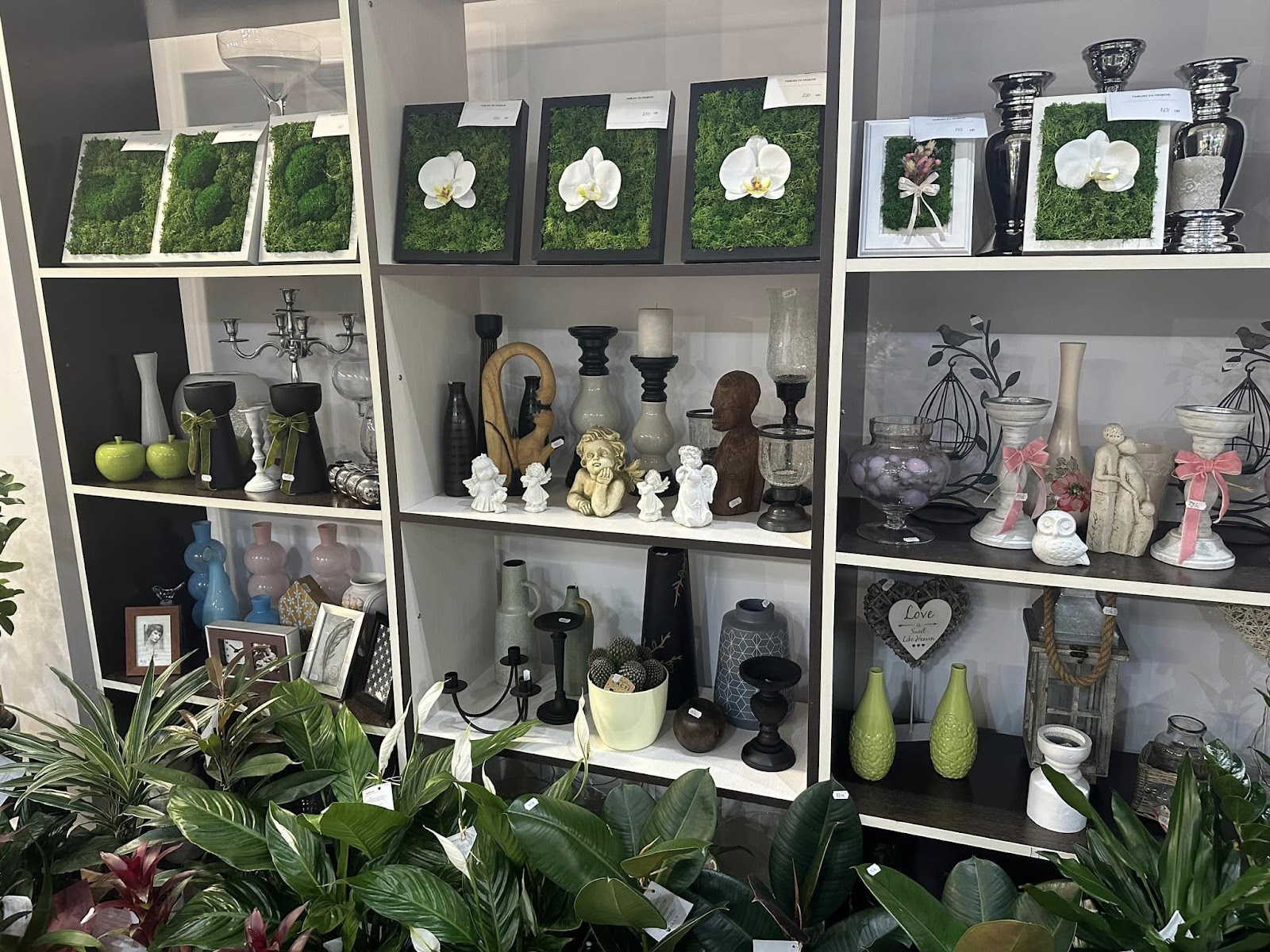 Florăria Lilium