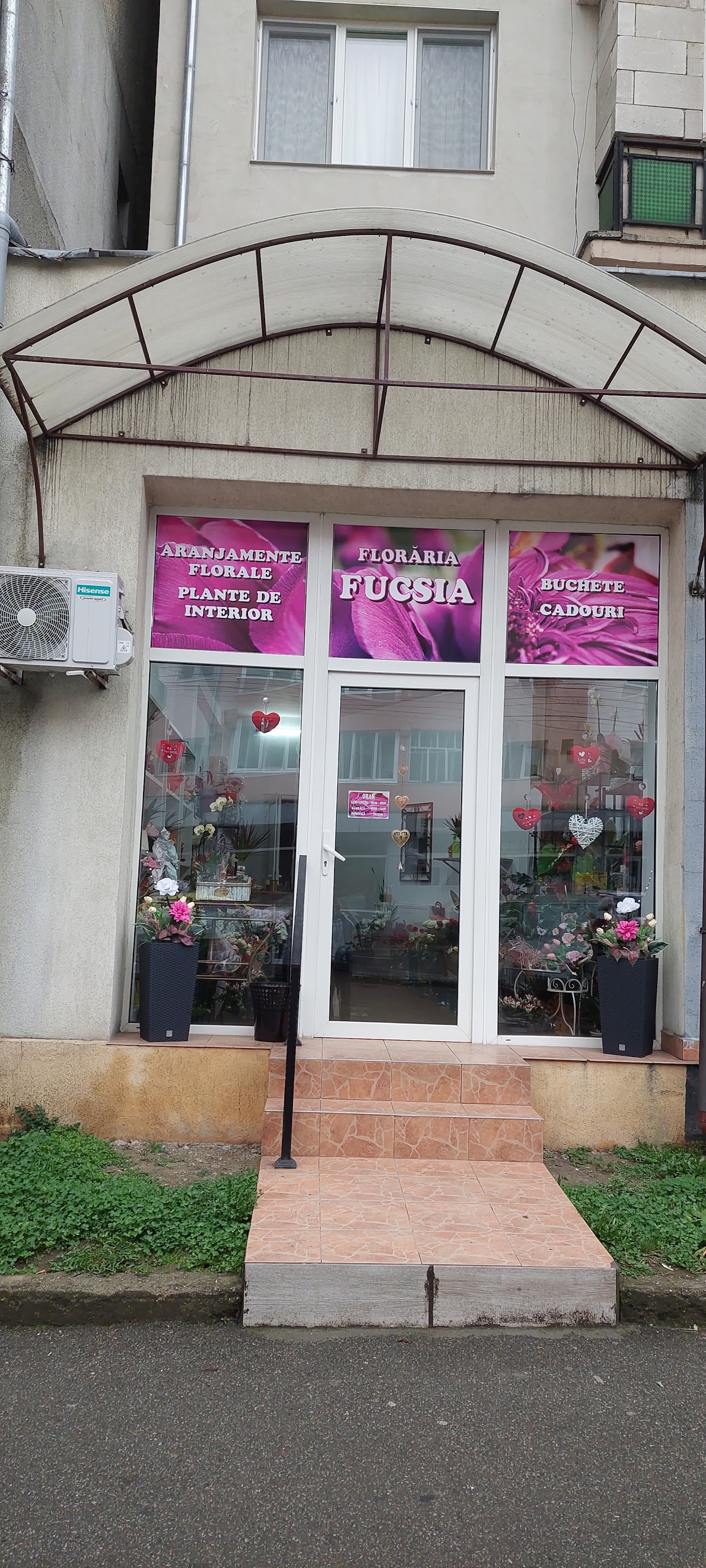 Floraria Fucsia