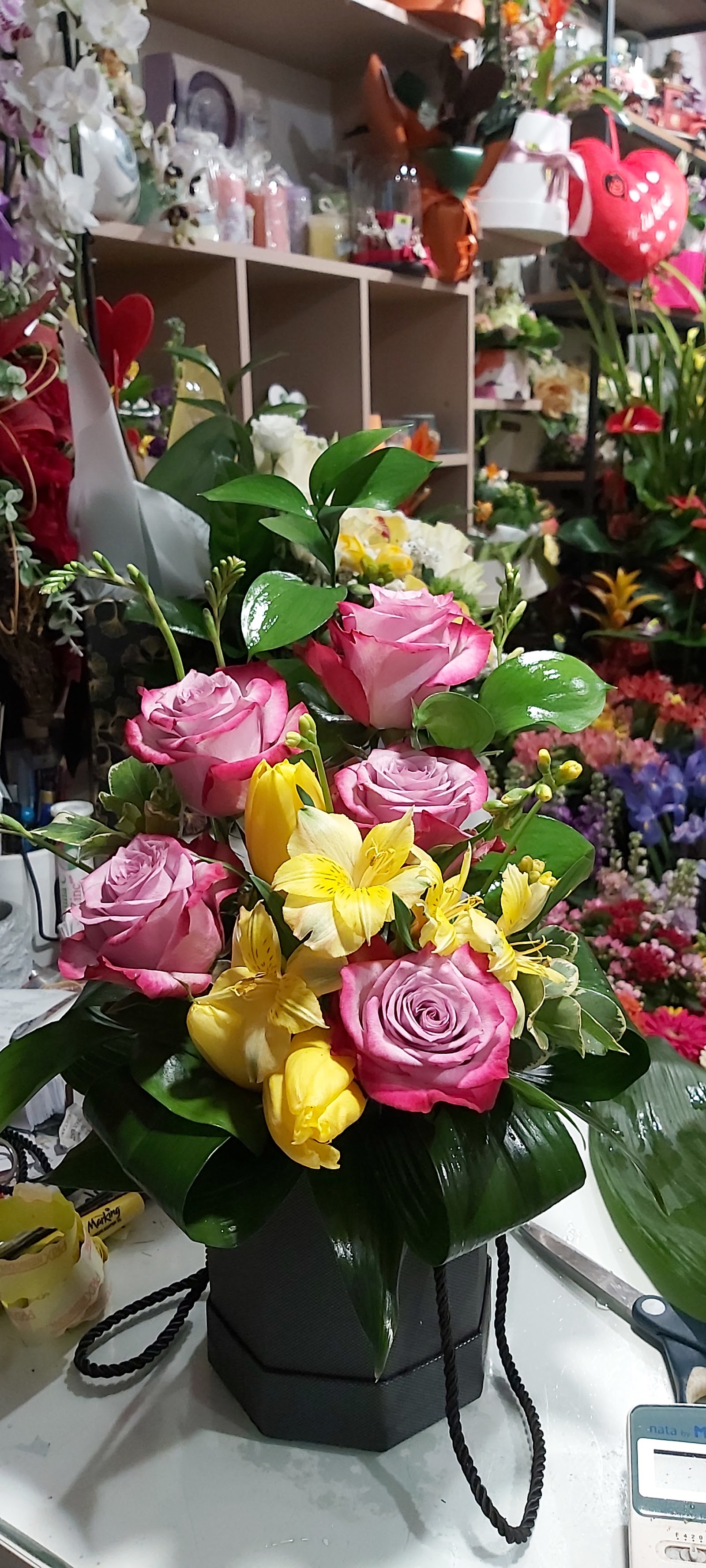 Floraria Eden